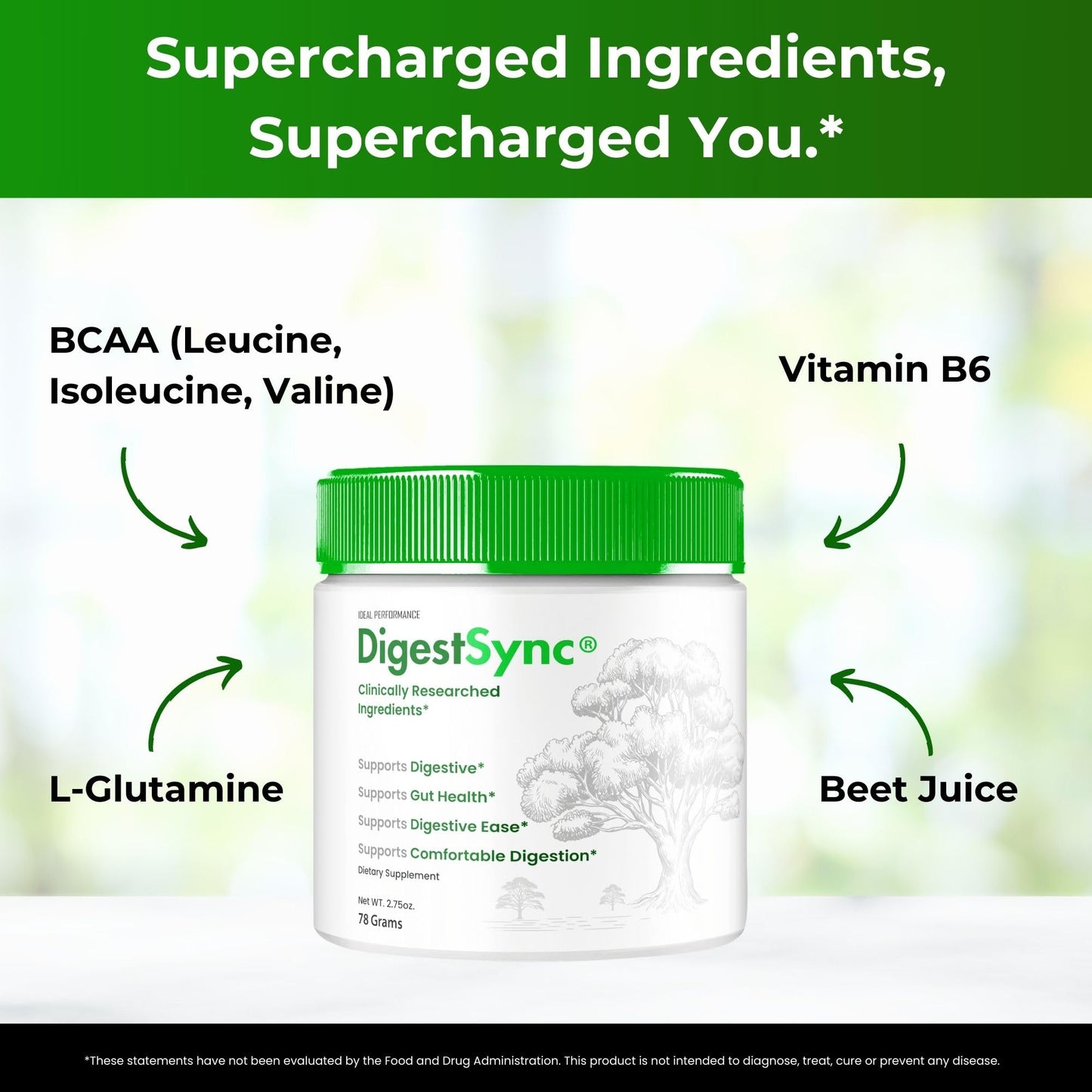 IDEAL PERFORMANCE DigestSync Gut Health Powder (2 Count)