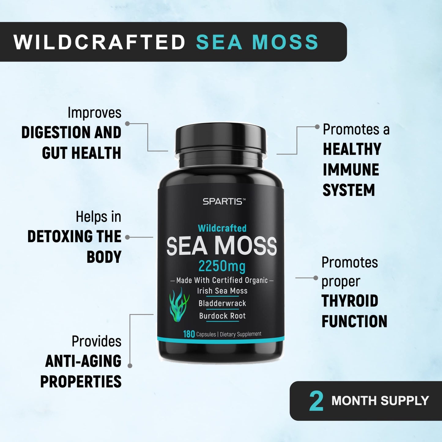 SPARTIS Certified Organic Sea Moss Capsules 2250mg Wildcrafted Irish Sea Moss with Burdock Root and Bladderwrack, 180 Capsules