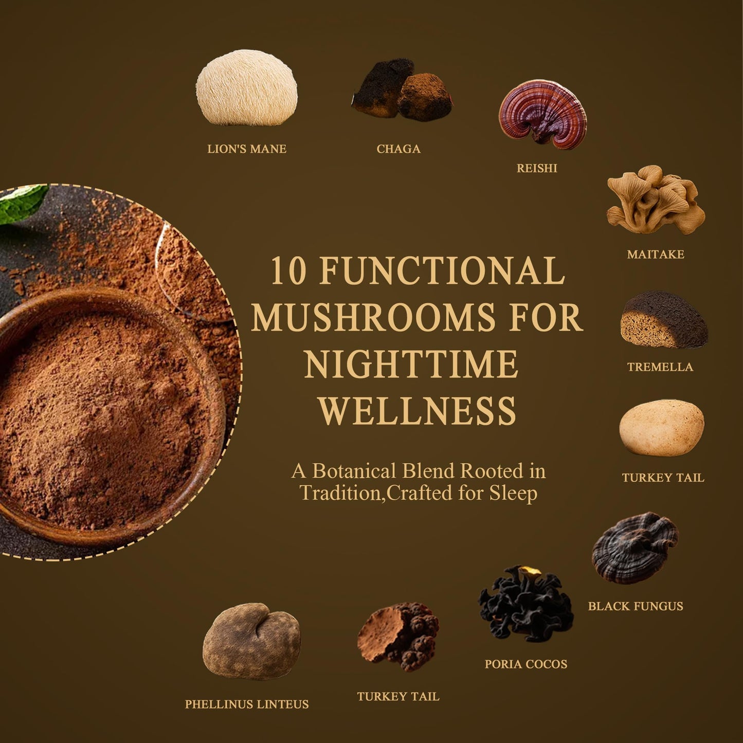 NUTRATASTE HEALTHIER CHOICE RICHER TASTE Mushroom Hot Cocoa with Magnesium Glycinate & L-Theanine, GABA Powder 8.5 oz