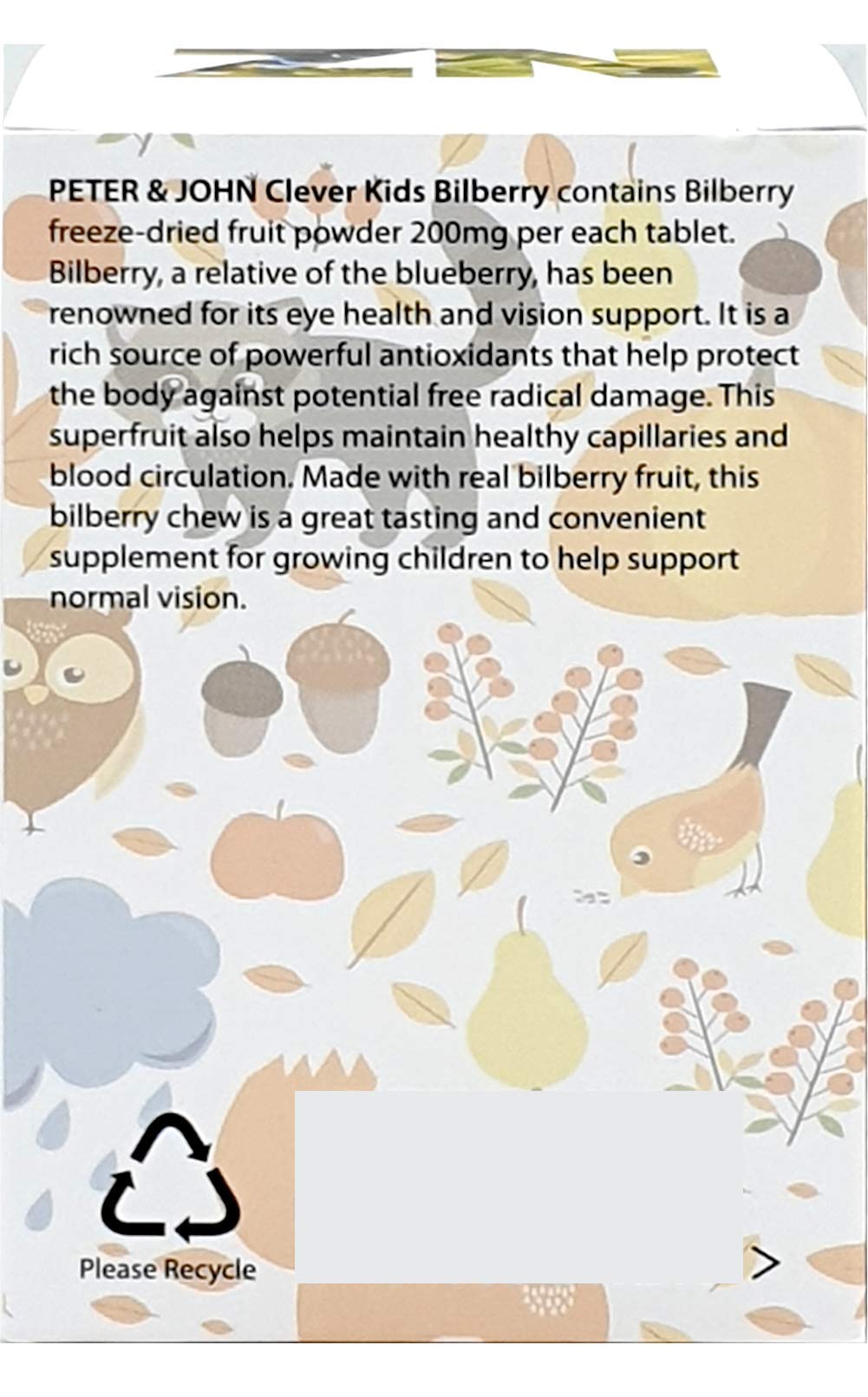 HEALTHFARM Kids Vision Support Bilberry 120 Chew Tablets, 1 Count