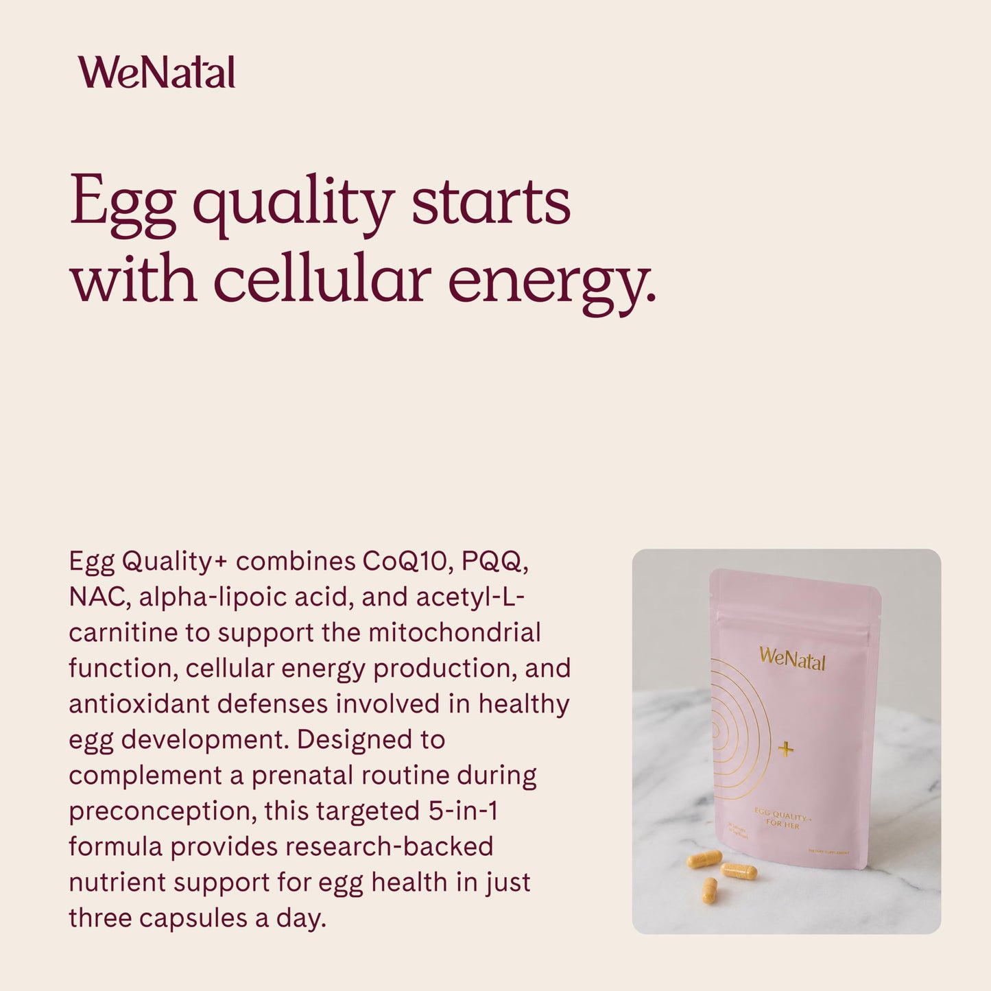WeNatal Egg Quality+ Supplement – CoQ10, NAC, PQQ, Folate Capsules 90