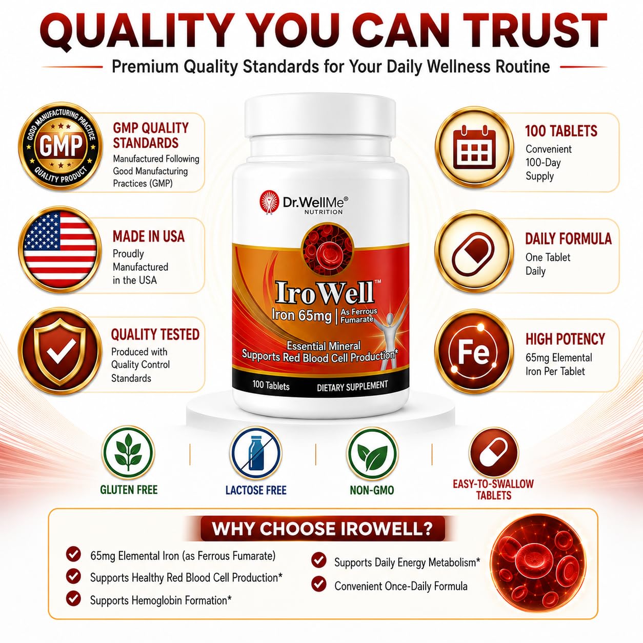 DR WELLME NUTRITION Irowell Iron Tablets 65mg, 100 Tablets