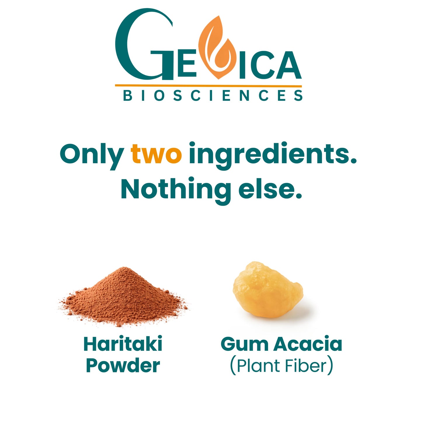 GeVica Biosciences Haritaki Tablet, 120 Count