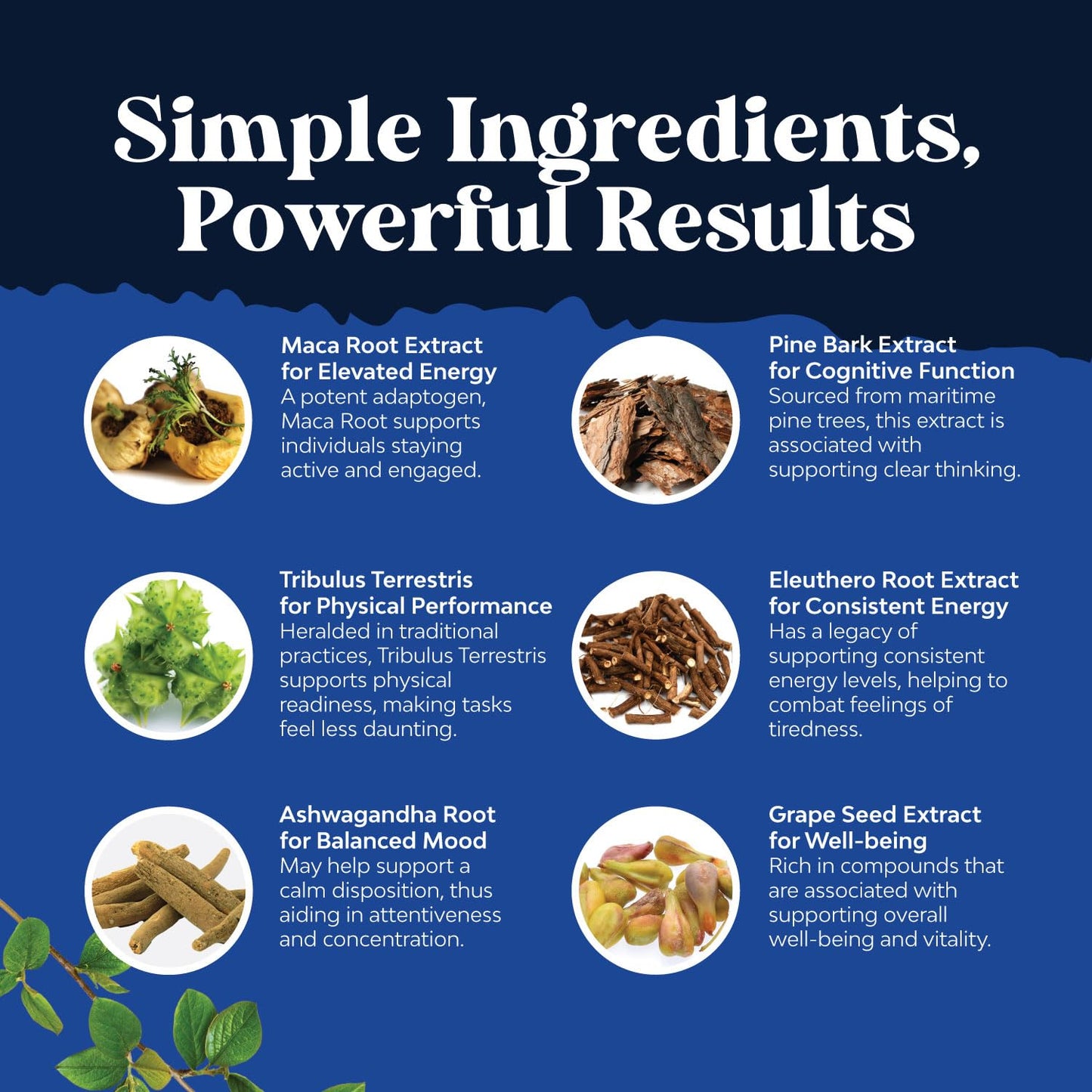 Natures Craft Potent Maca Root Capsules for Men with Ginseng 120 Count