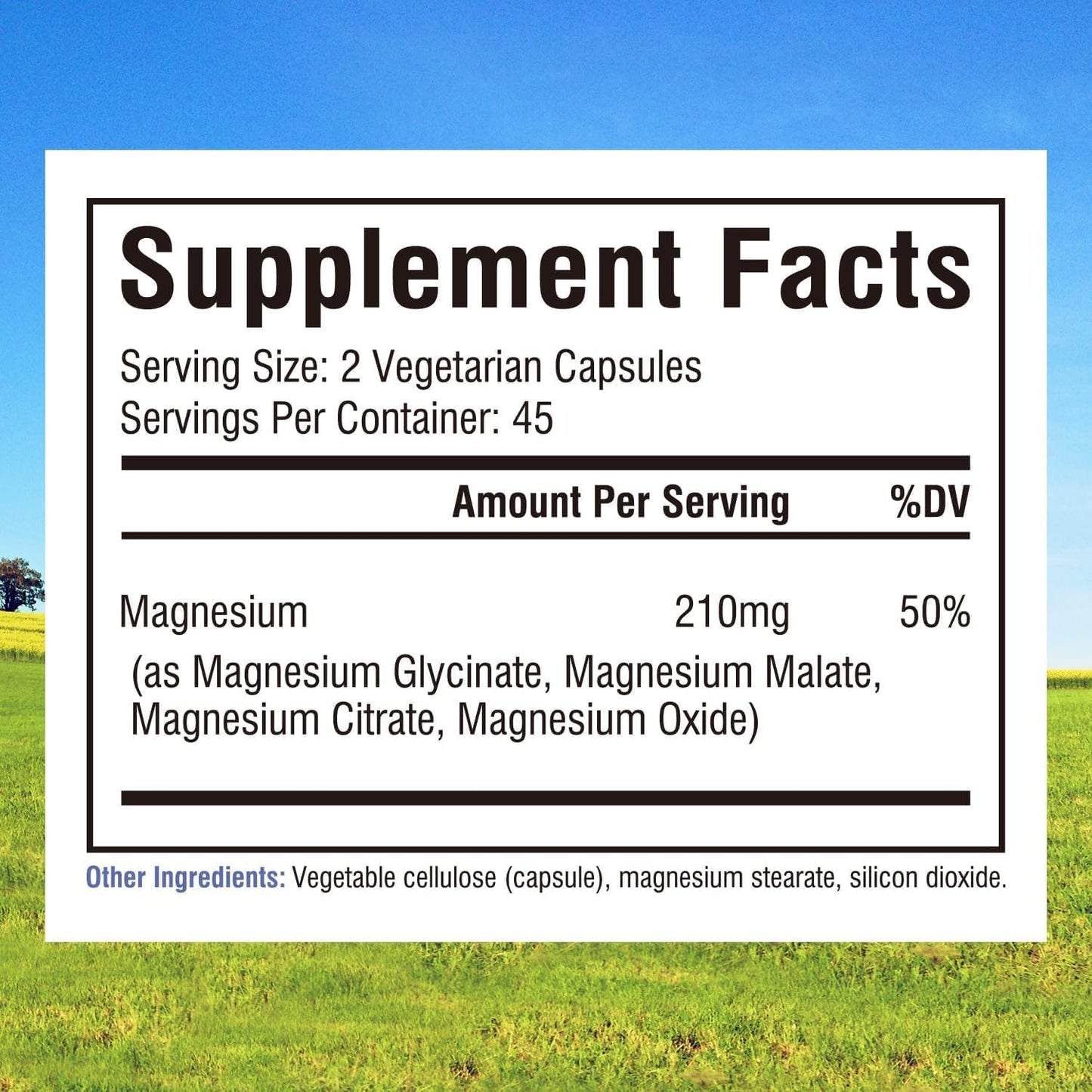 Innate Vitality Magnesium Complex Capsules, 90 Count