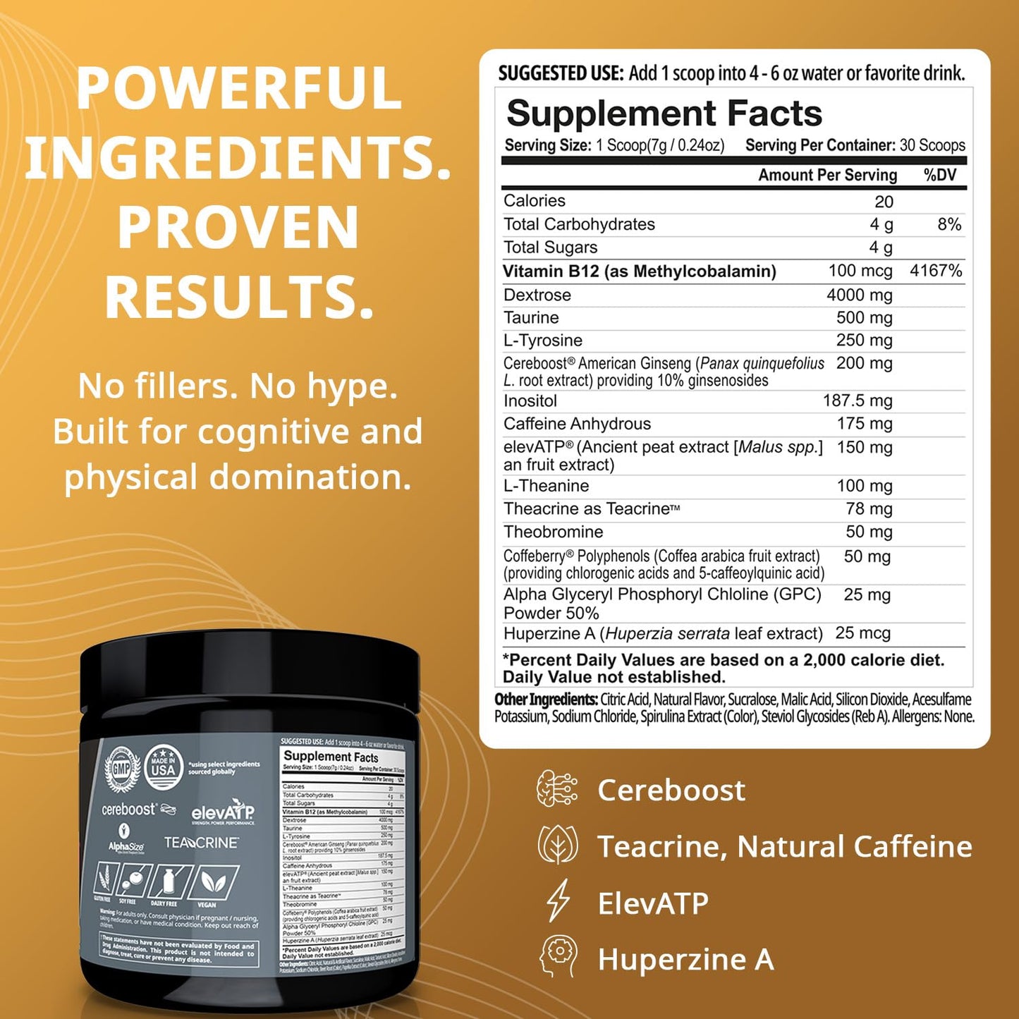 Granite Supplements GigaBrain Nootropic Energy Powder Cereboost, Alpha-GPC & ElevATP 7.2 Ounce