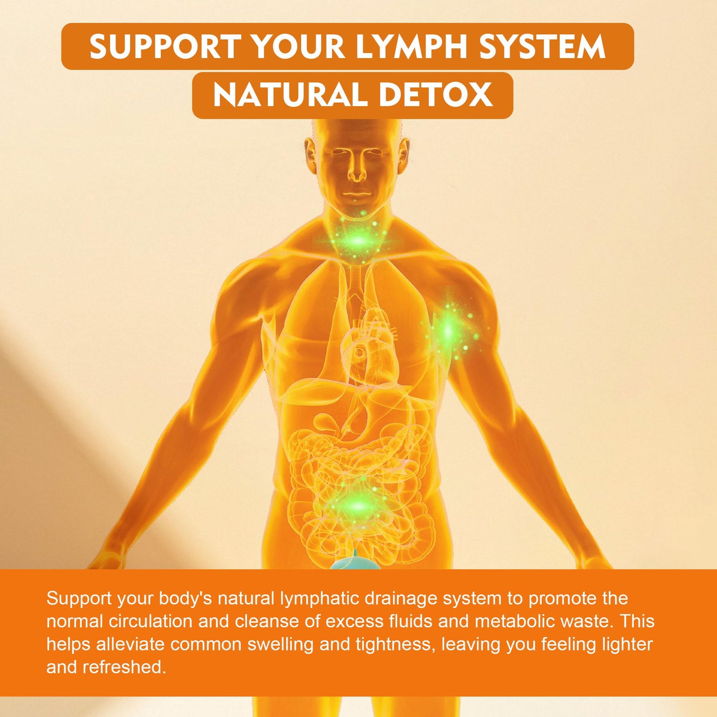Well&Whole Lymphatic Drainage Gummy 120 ct