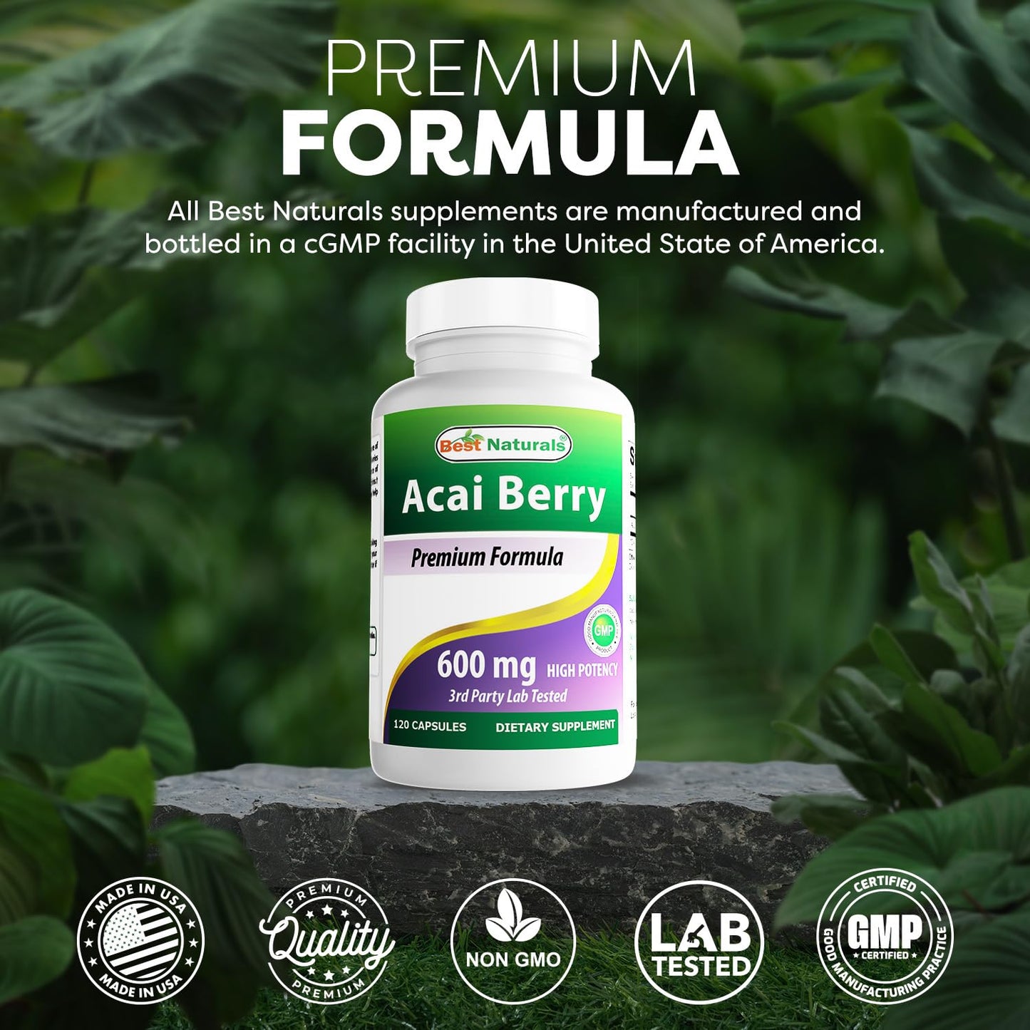 Best Naturals Acai Berry 600mg per Serving Capsules, 120 Count