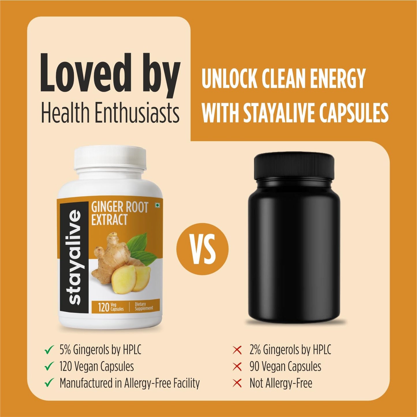 STAY ALIVE Ginger Root Capsules 1000mg 10:1 Extract Powder with 5% Gingerols, 120 Capsules