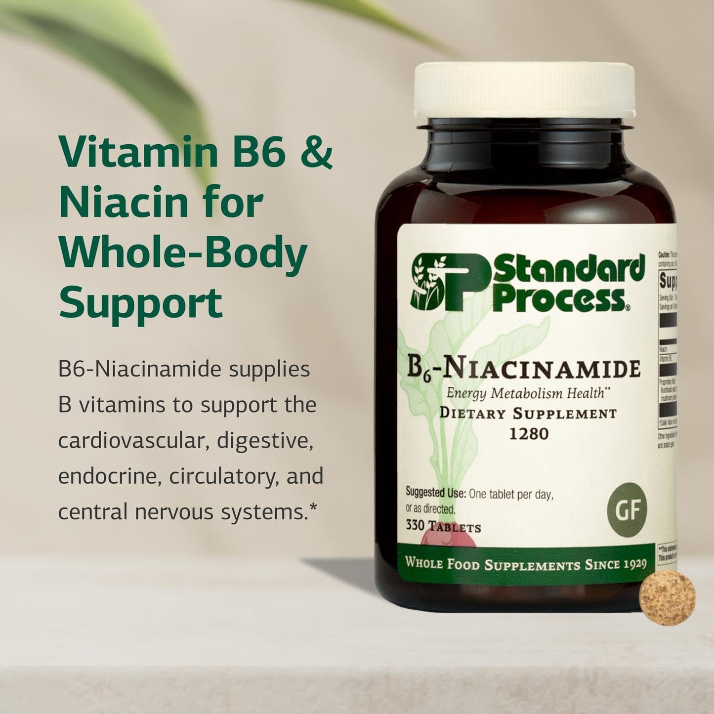 Standard Process Inc. B6-Niacinamide Energy Metabolism Health Dietary Support Tablet, 330 Tablets