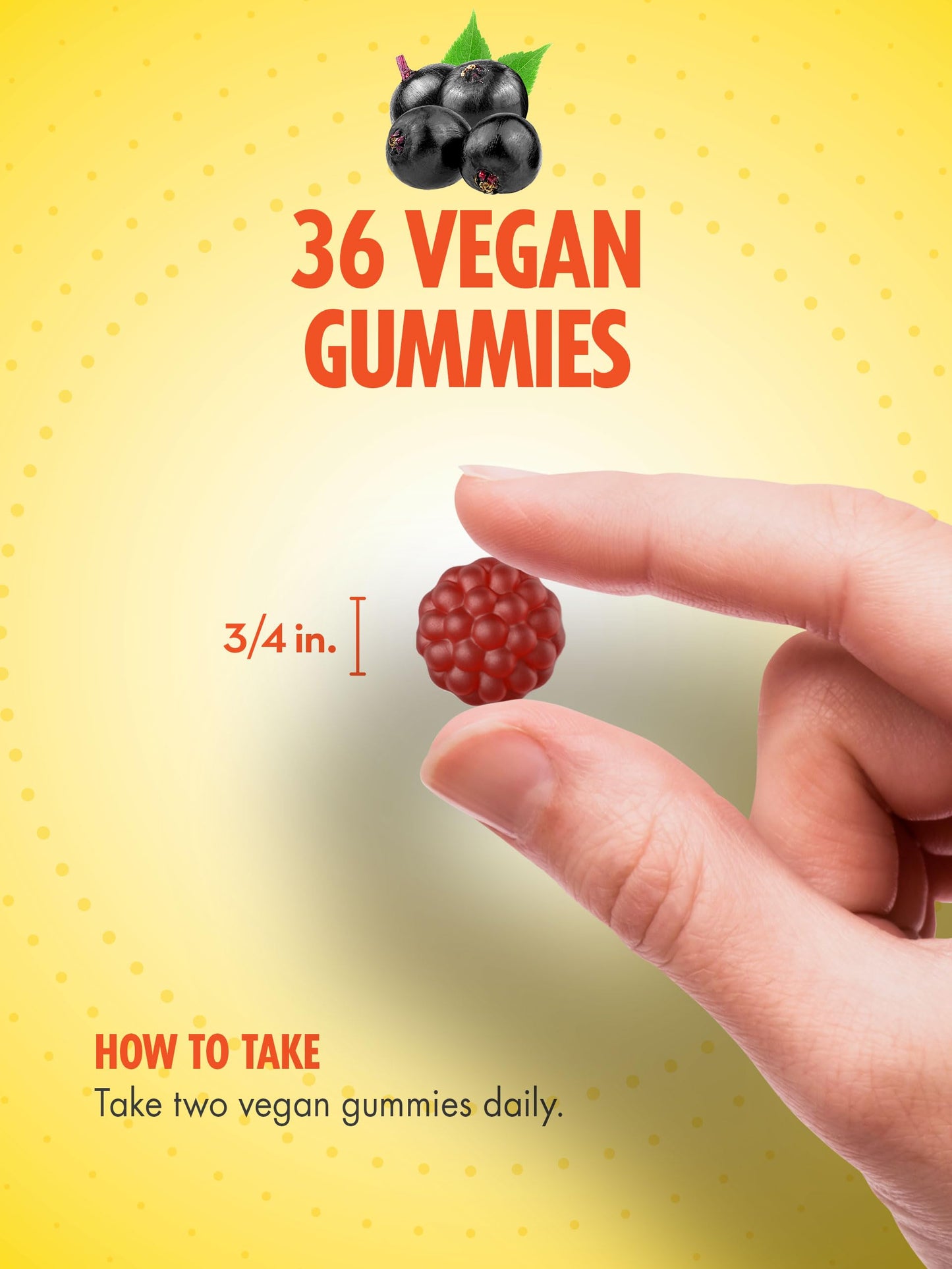 Sundance Elderberry Gummies for Adults 36 Count