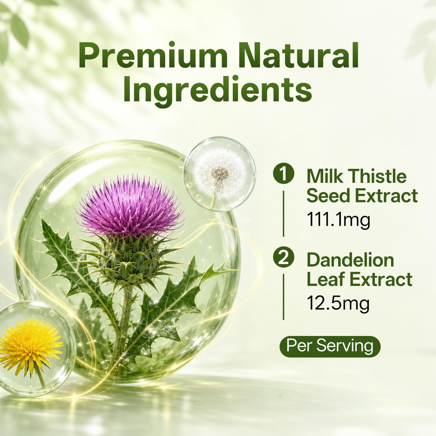 Oopeatol Milk Thistle Supplement with Dandelion Leaf Extract Capsules, 60 Count