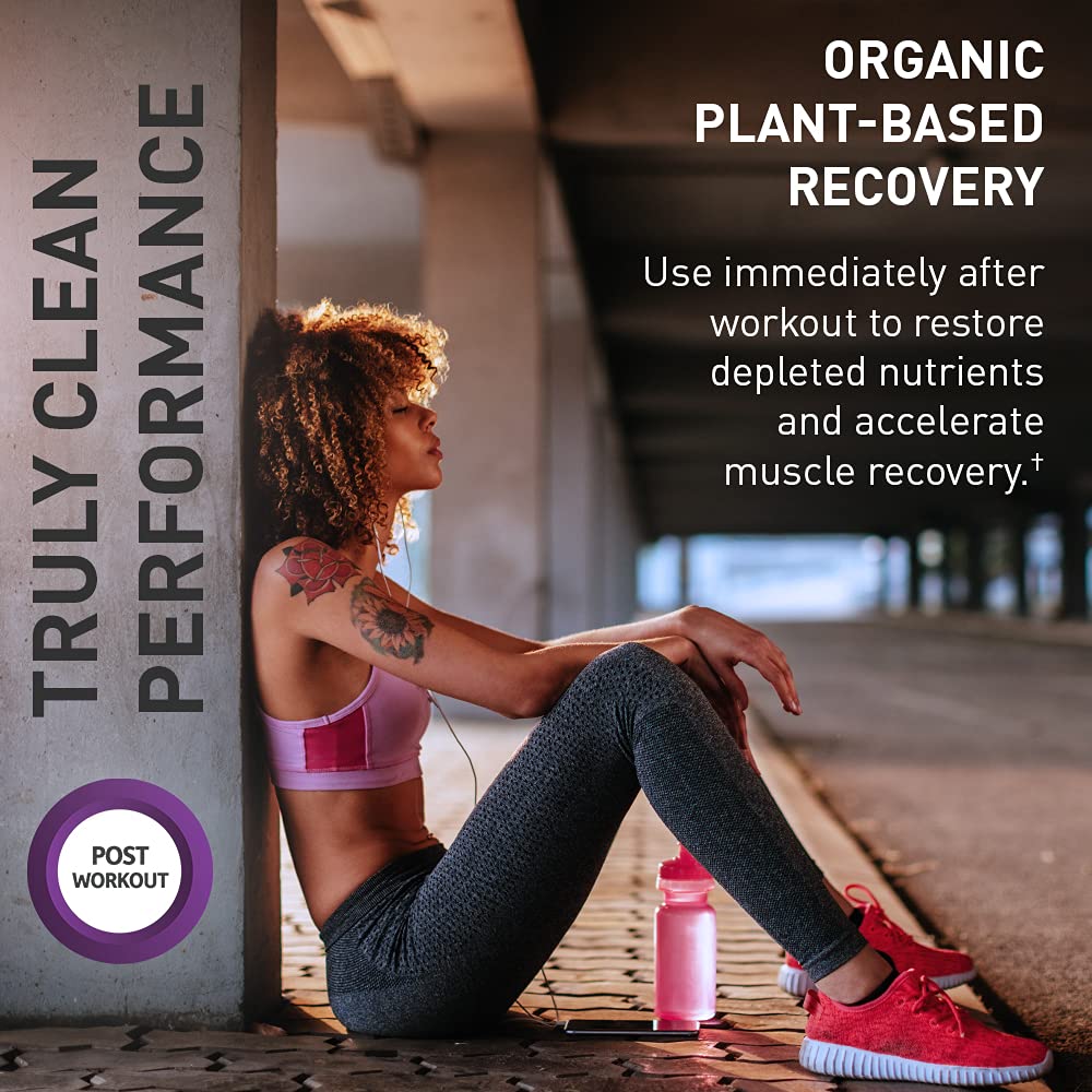 Garden of Life Sport Organic Plant-Based Recovery Powder, 15.7 Ounce