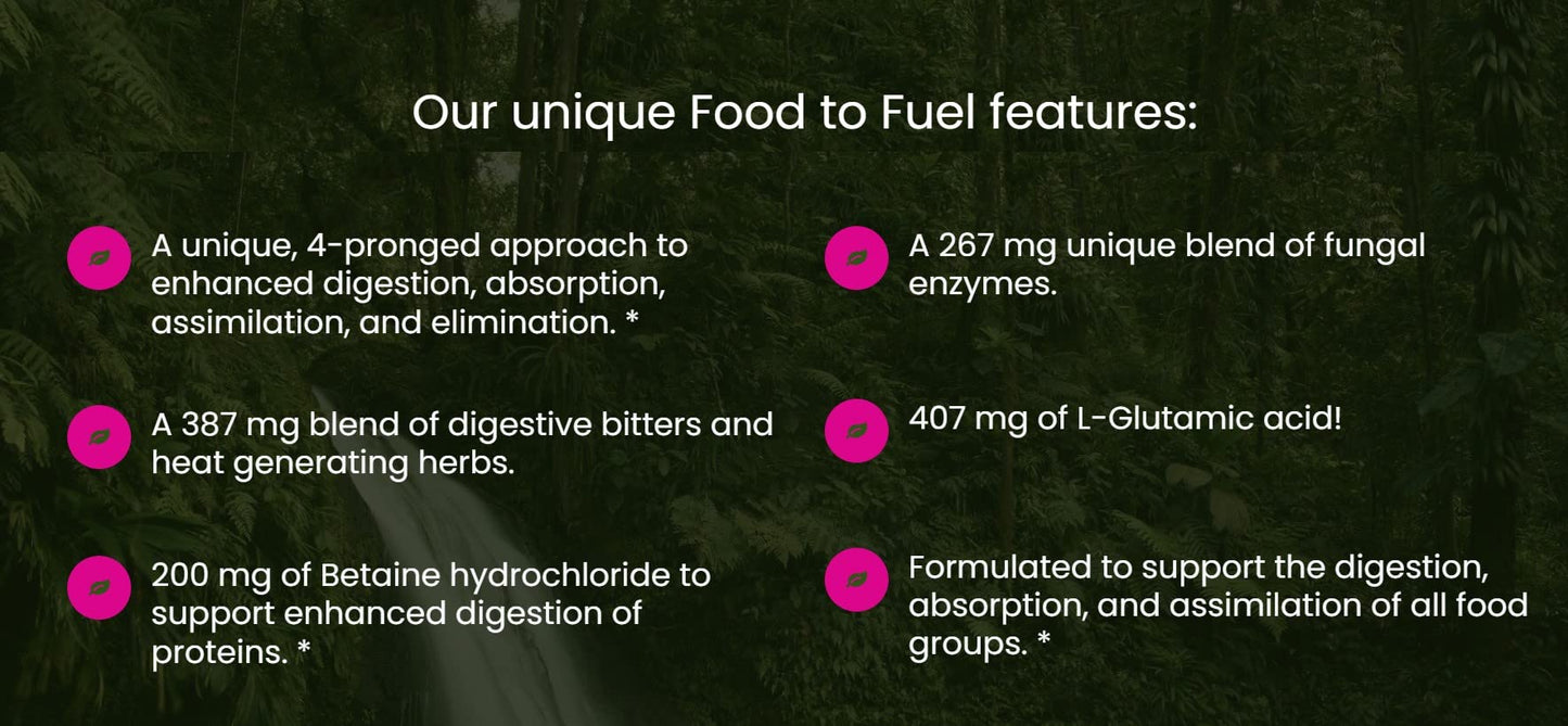 All In Nutritionals Food to Fuel Capsules 60
