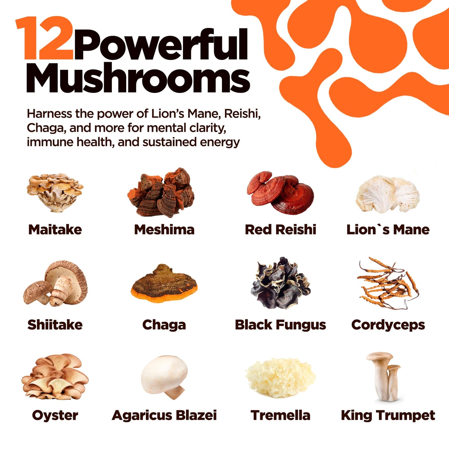 KIKI Green 12 Mushroom Supplement Capsules 120 Count
