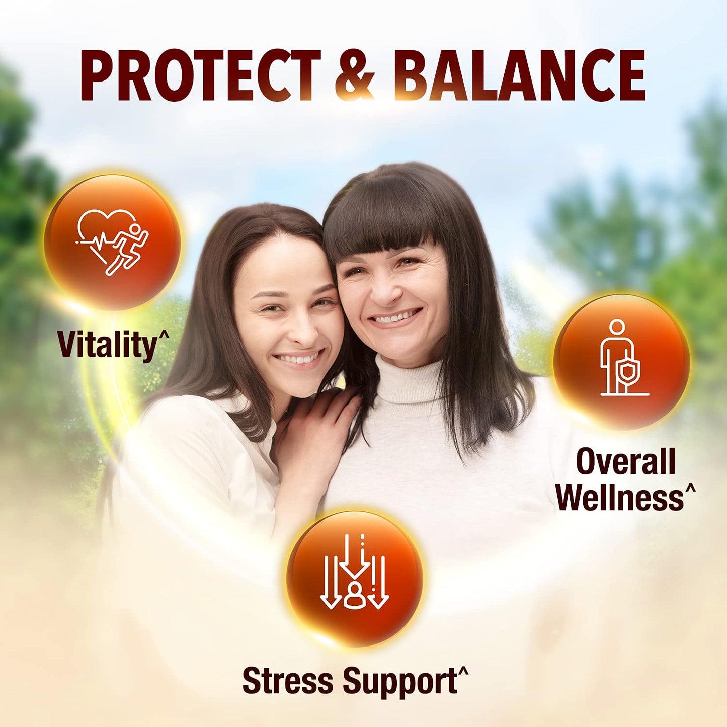 LABO Nutrition Bioactive Organic Lingzhi Reishi - Ultra 7 Mushroom Extract Supplement with Cordyceps & Maitake, 90 Capsules