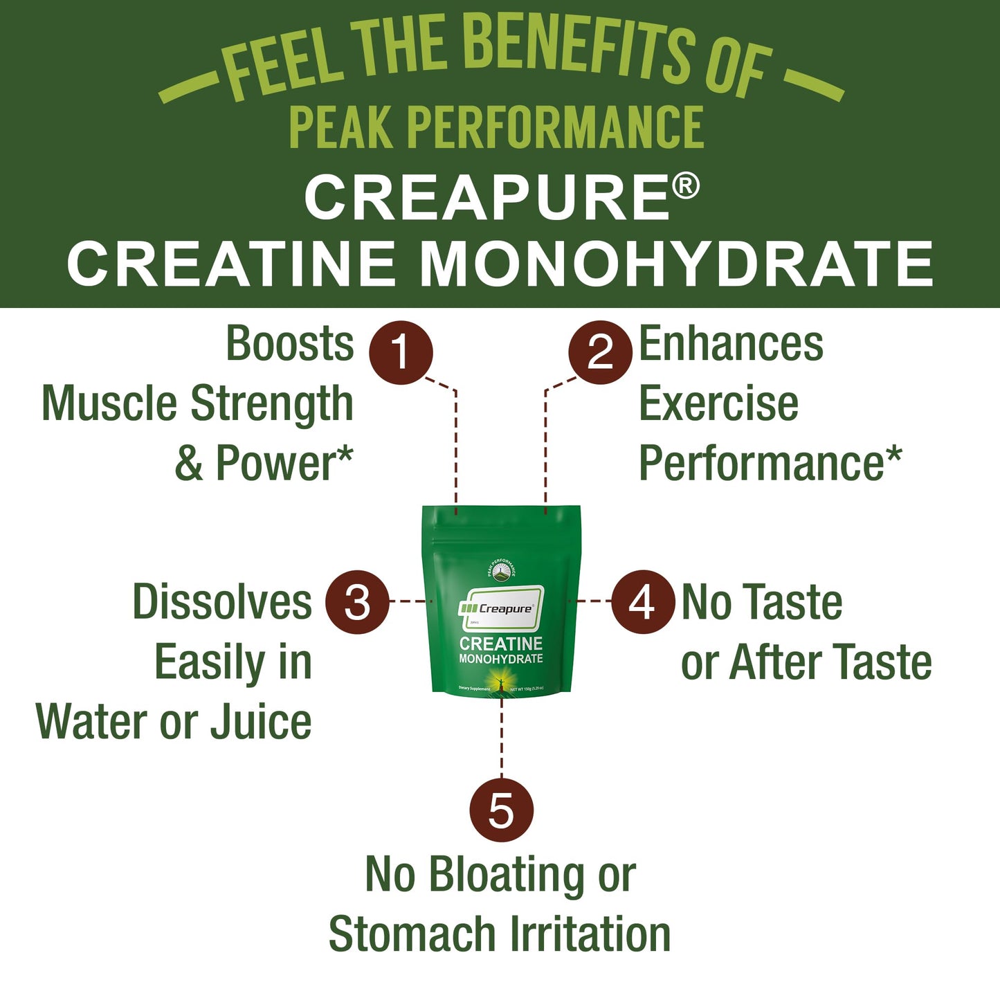 Peak Performance Creapure Creatine Monohydrate Powder 5.29 Ounce