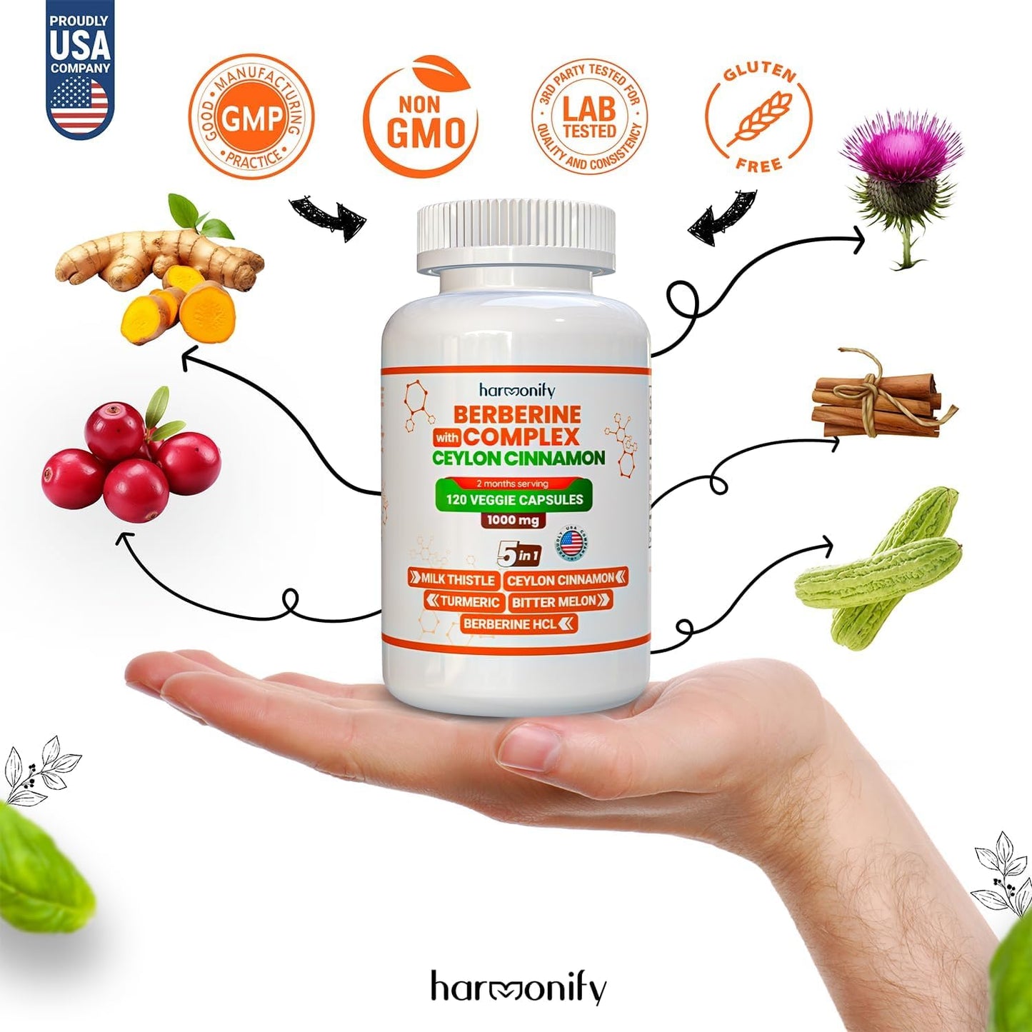 HARMONIFY Berberine Supplement with Ceylon Cinnamon, Milk Thistle, Turmeric, Bitter Melon Complex, 120 Capsules