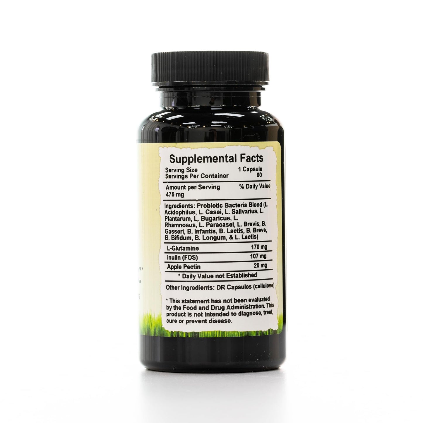Wholistic Botanicals Probiotic Capsule, 60 Count