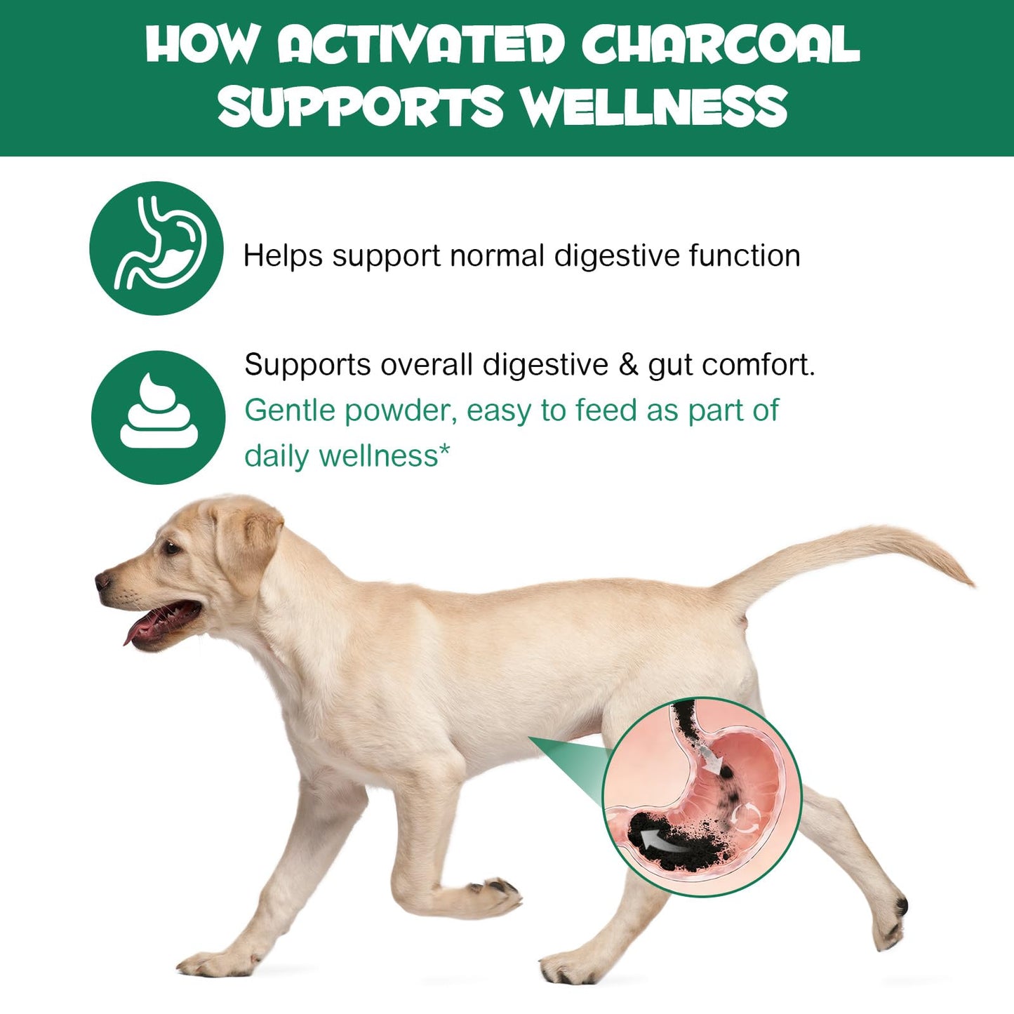 ALIVO Activated Charcoal Powder for Dogs & Cats 120