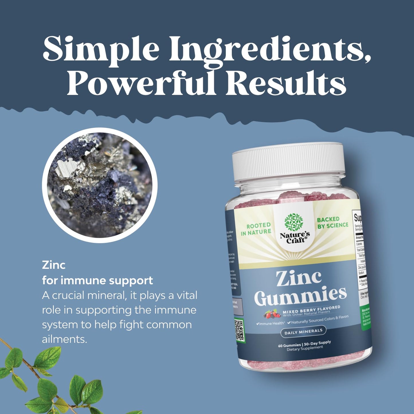Nature's Craft Extra Strength Zinc Gummies for Adults, 60 Count