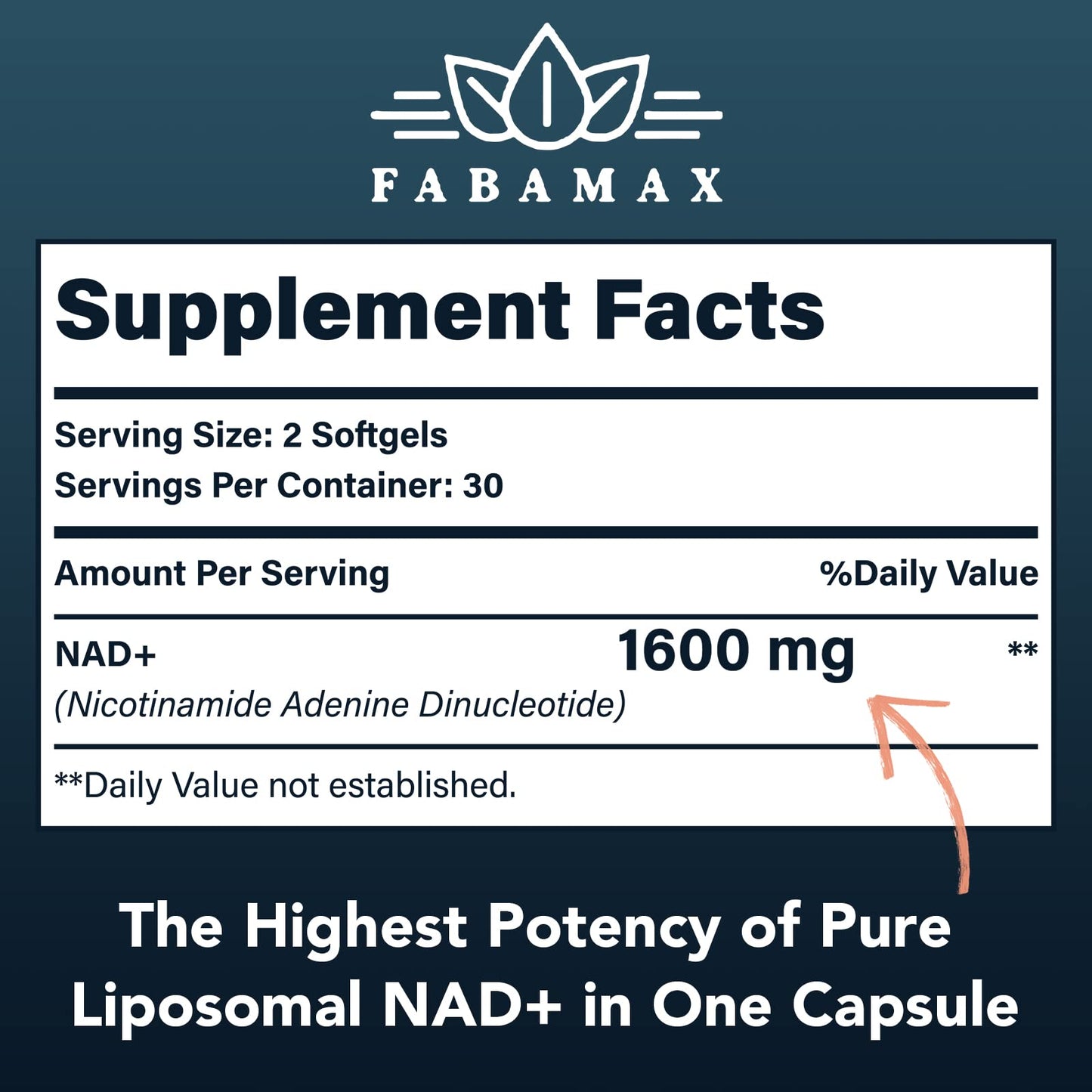 Fabamax Liposomal NAD+ Supplement 1600 mg, 60 Softgels