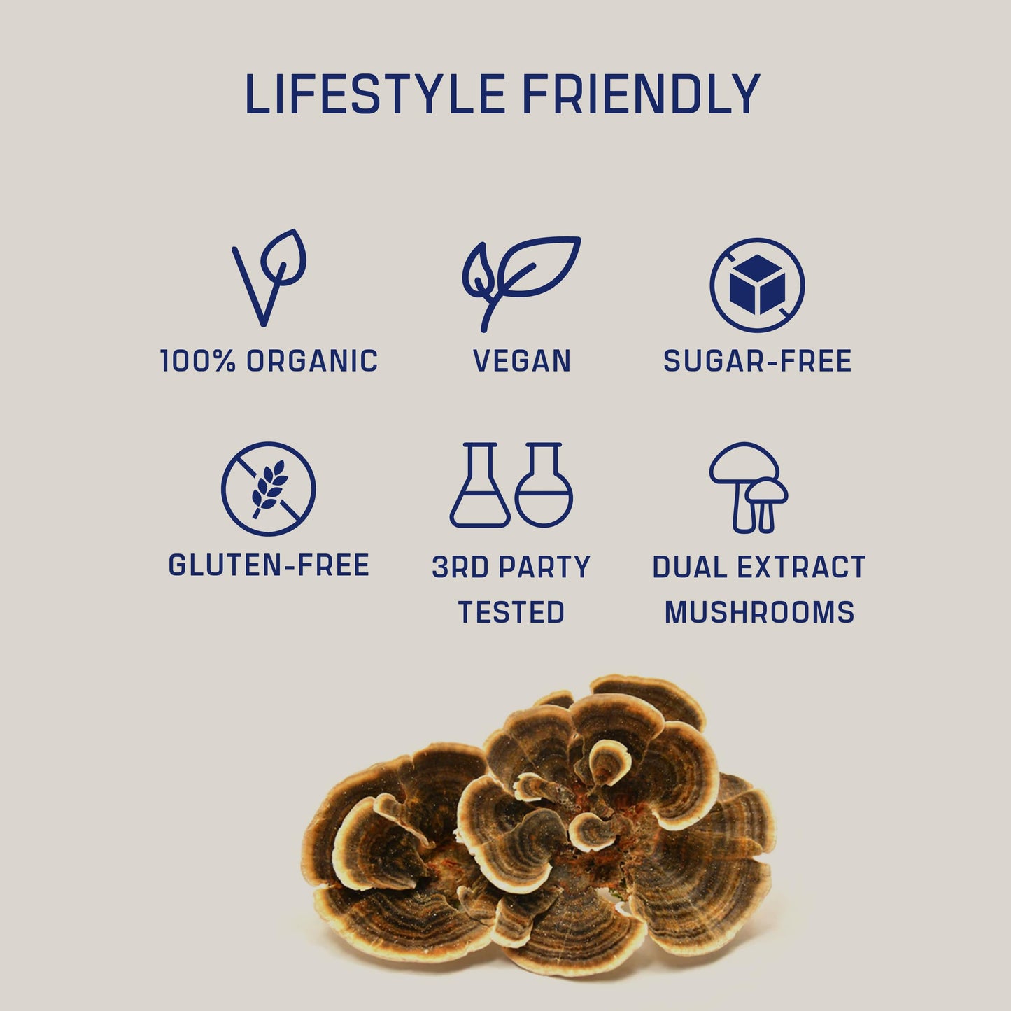 DIRTEA Turkey Tail Mushroom Powder 60g, 30 Servings