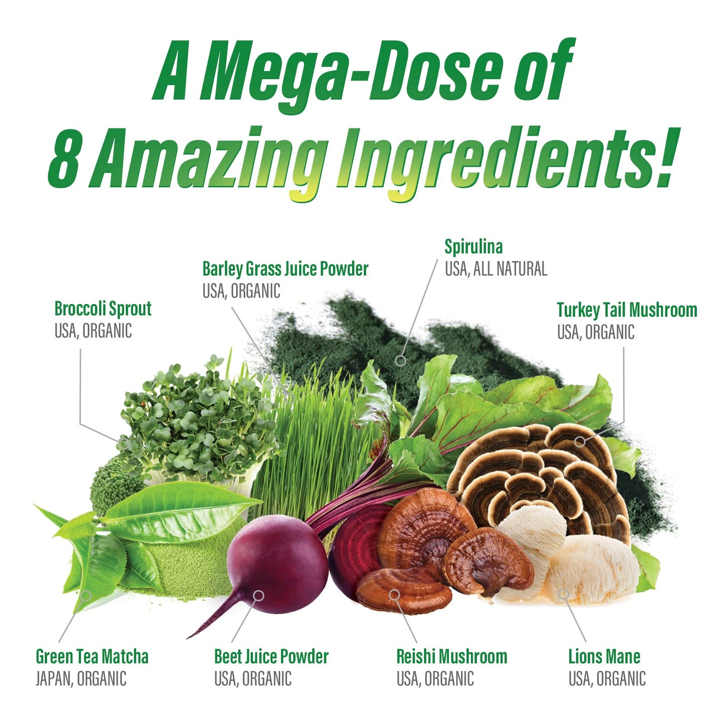 Myogenix MyoVite Super Greens Supplement Powder 270