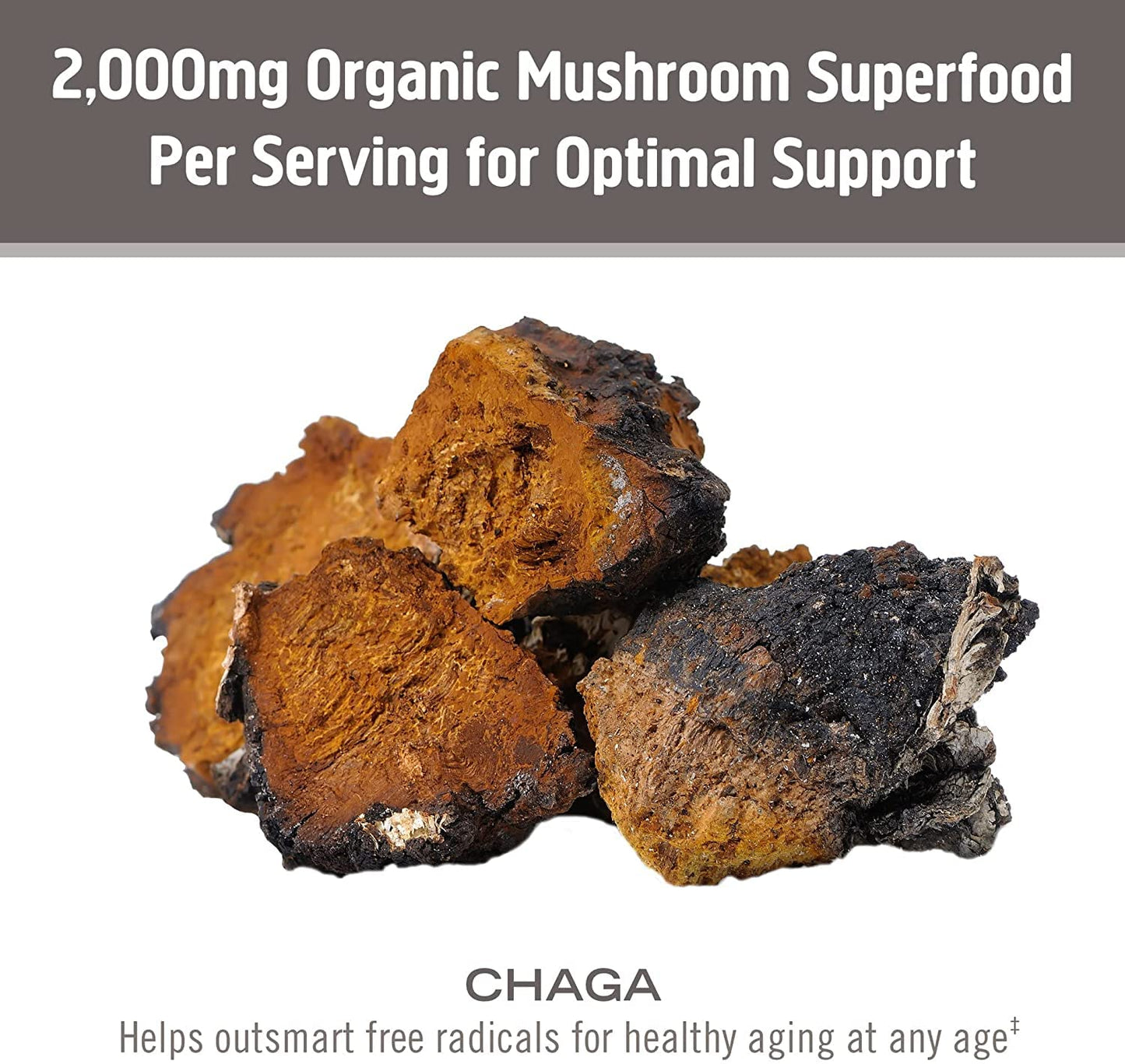 OM MUSHROOM SUPERFOOD Chaga Organic Mushroom Powder 3.5 Ounce