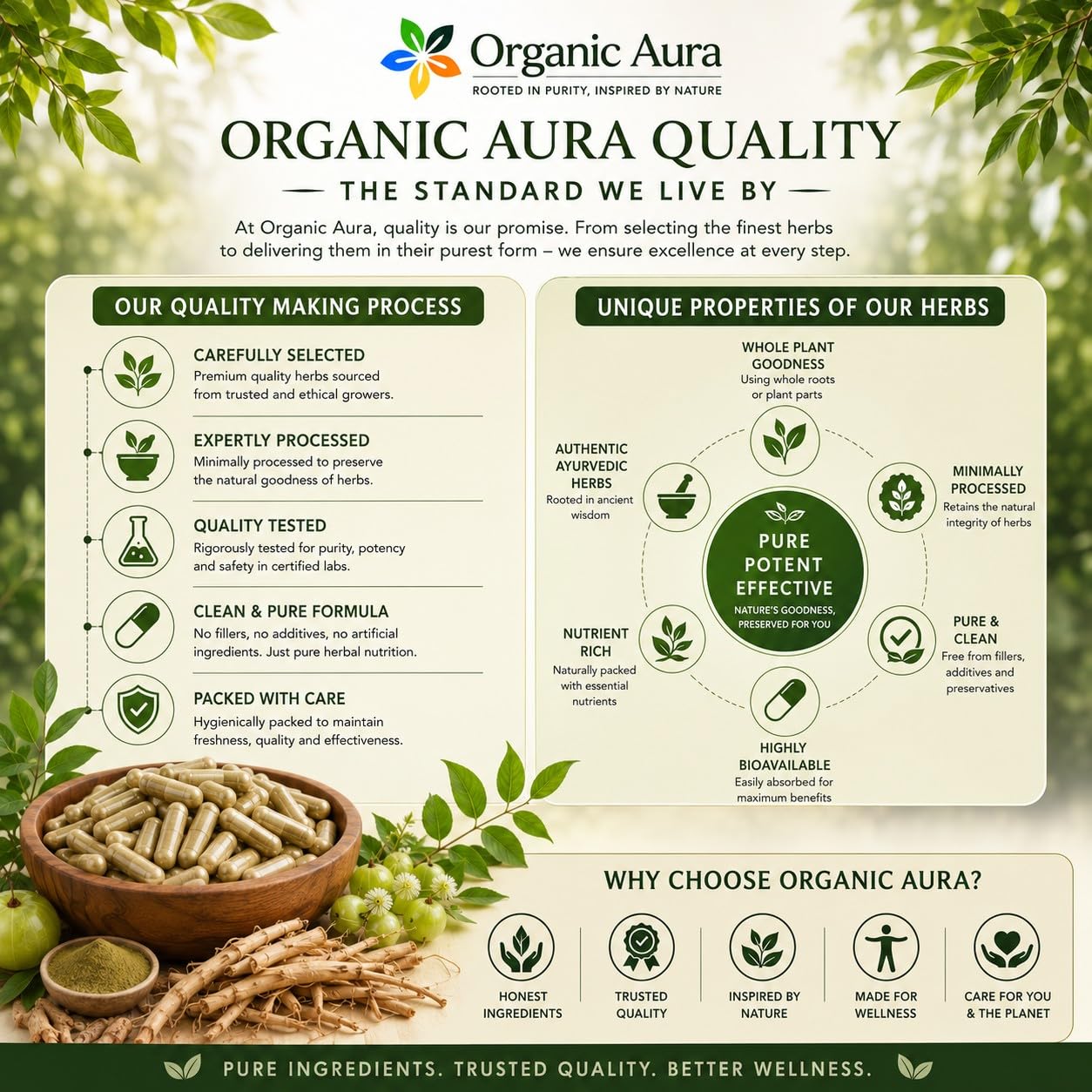 Organic Aura International Shatavari Root Powder Capsules, 150 Count
