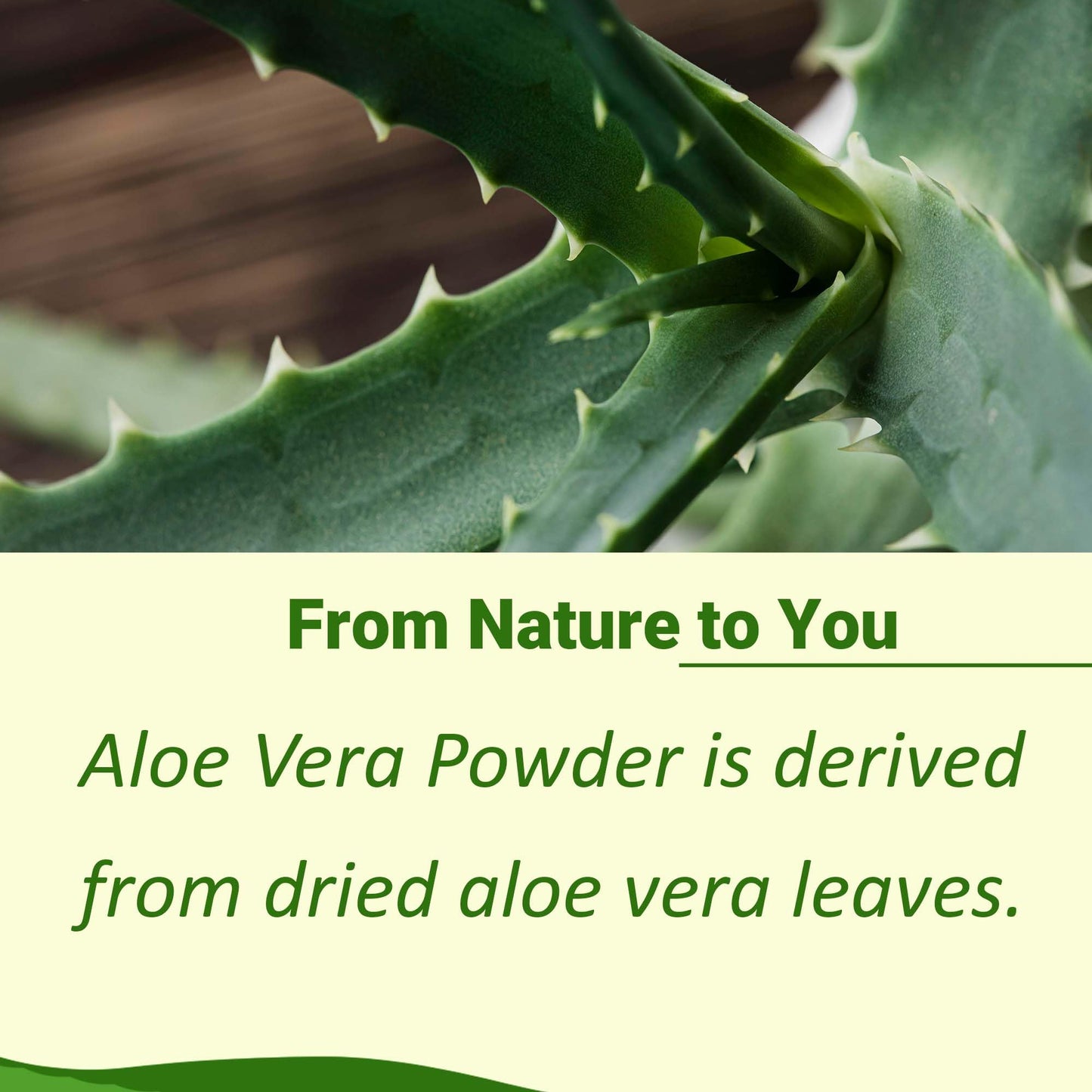minature 100% Aloe Vera Powder, 8 oz