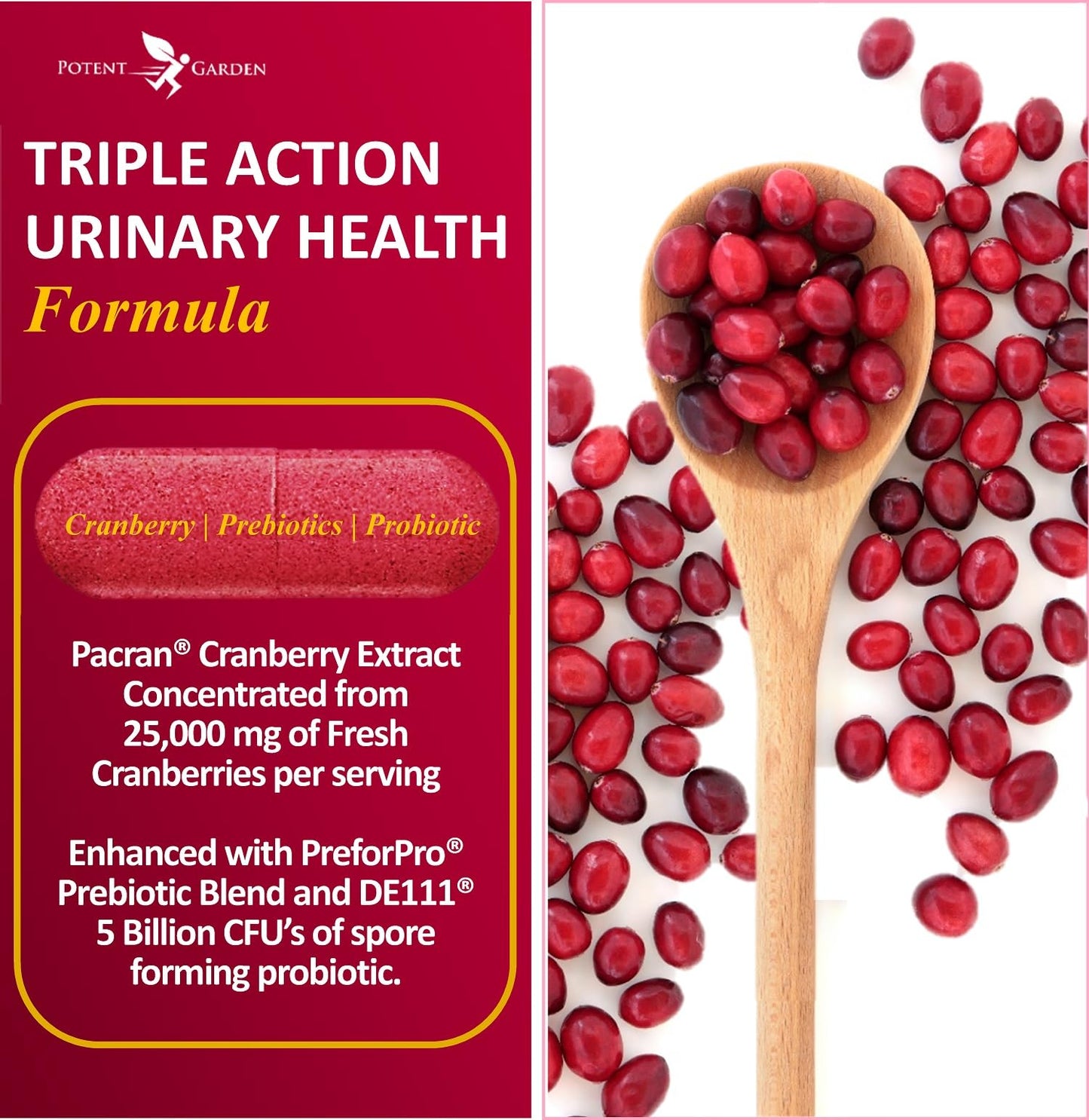 Potent Garden Urinary Support Probiotic Cranberry Capsules for Women, 5 Billion CFUs, 60 Count