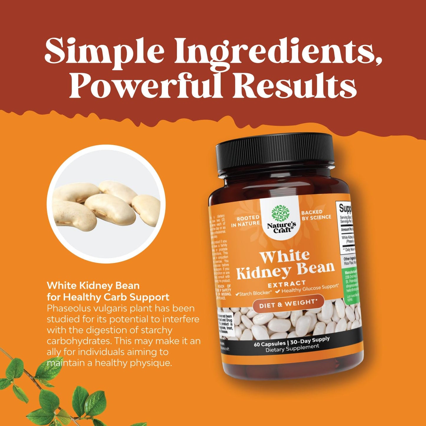 Natures Craft White Kidney Bean Extract Capsule, 60 Count