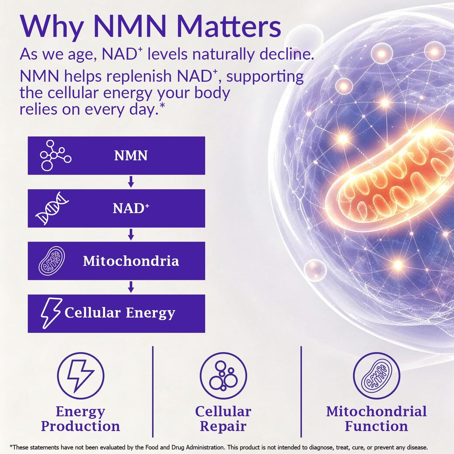 Hotopingre NMN Supplement Softgels 4-in-1 NMN Beta 1000mg with Quercetin TMG Resveratrol Astaxanthin for Anti-Aging Energy & Immune Support, NMNH Liposomal High Absorption, 90 Softgels