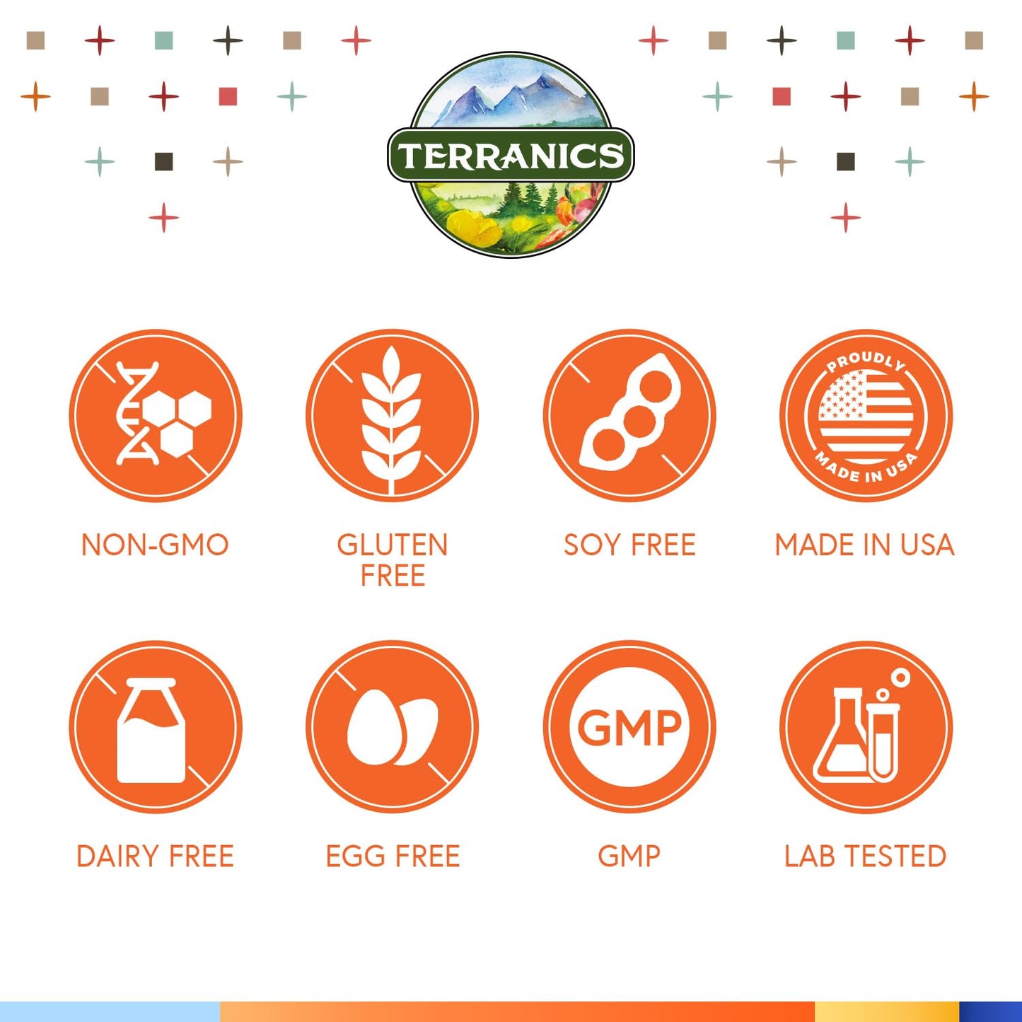 Terranics Vitamin C Elderberry Zinc with Vitamin D3 A B6 B12 Folate Rose Hips Citrus Bioflavonoids Turmeric Echinacea 14-in-1 Daily Immune Support, 90 Tablets
