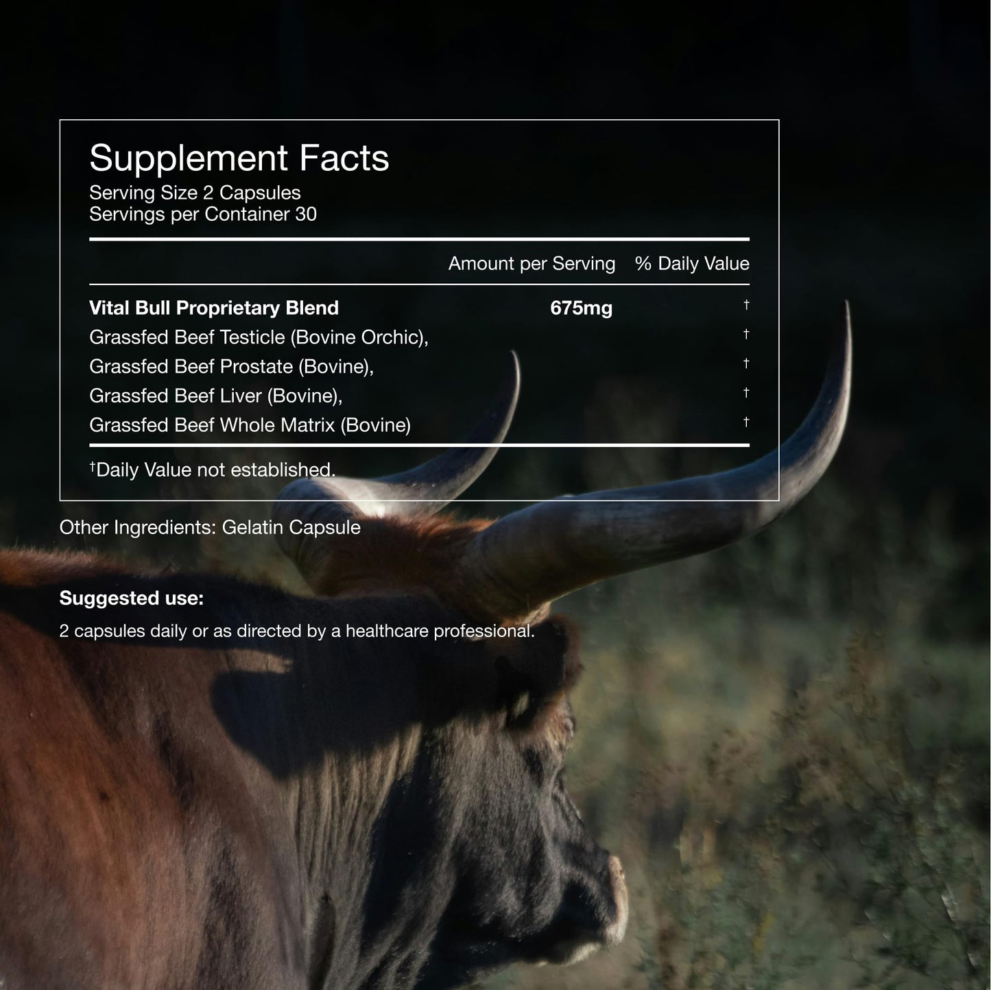 Vital Bull Beef Organ Supplement for Men with Grass Fed Liver, Testicle, Prostate & Bone Marrow – Freeze Dried Beef Organ Capsules for Nutrient Support – 60 Day Supply