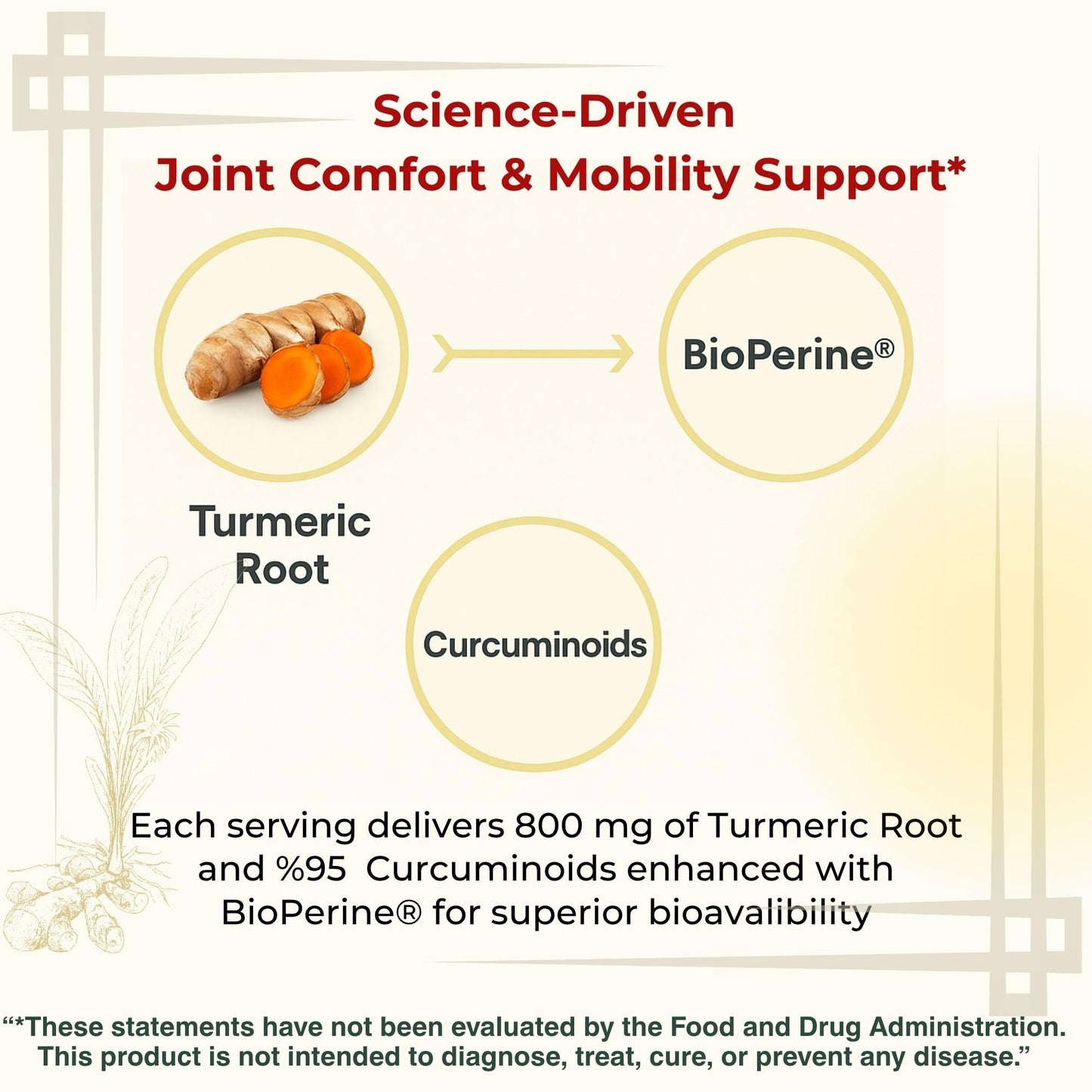 Sun Vitals Platinum Turmeric Complex 95% Curcuminoids with BioPerine, Glucosamine & Boswellia Capsules, 60 Count