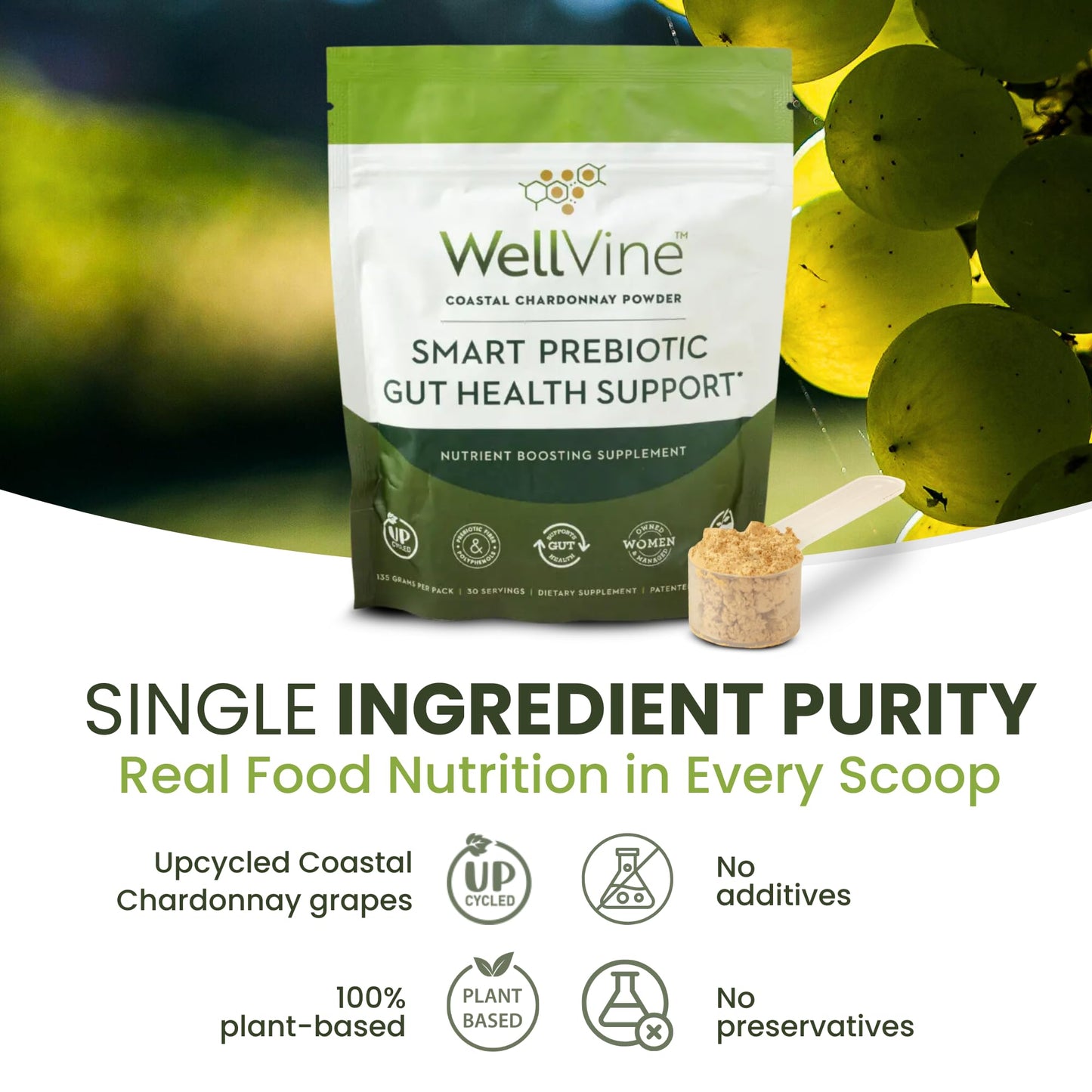 WellVine Premium Smart Prebiotic Gut Health Supplement Powder, 4.75 oz