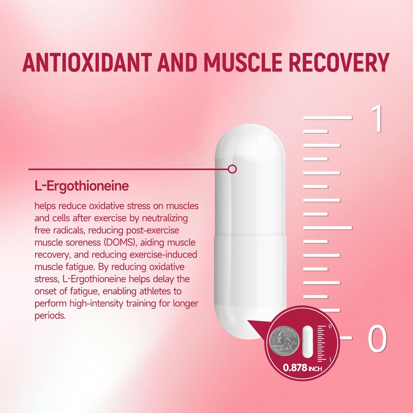 Ahete SKINGE L-Ergothioneine 30mg Capsules, 90 Count