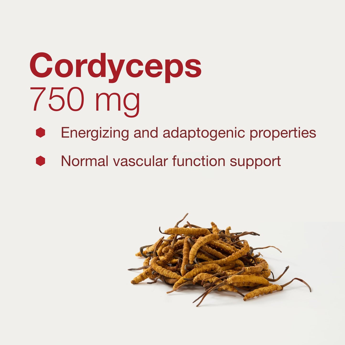 Protocol for Life Balance Cordyceps 750mg Capsules for Immune Support and Vascular Health, Non-GMO, 90 Veg Caps