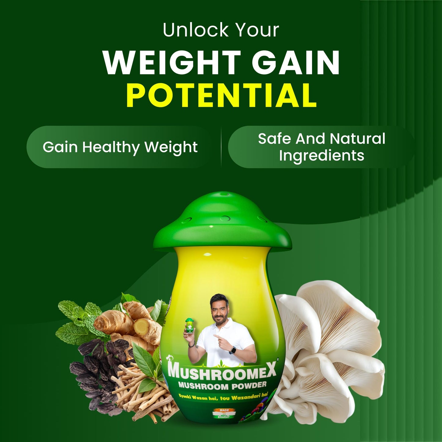 Mushroomex Mushroom Powder 100 Gram