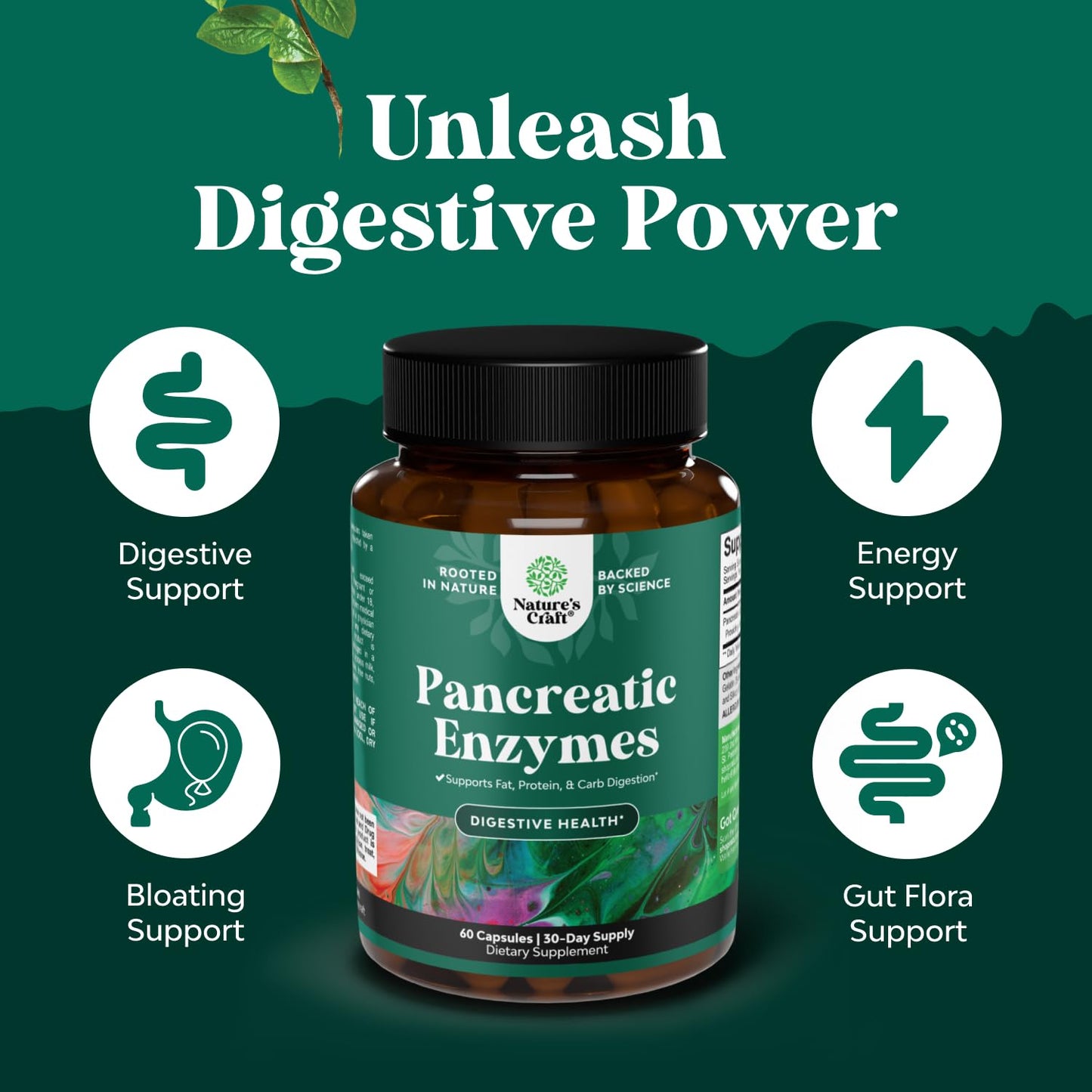 Natures Craft Pancreatin Digestive Enzymes Capsule, 60 Count