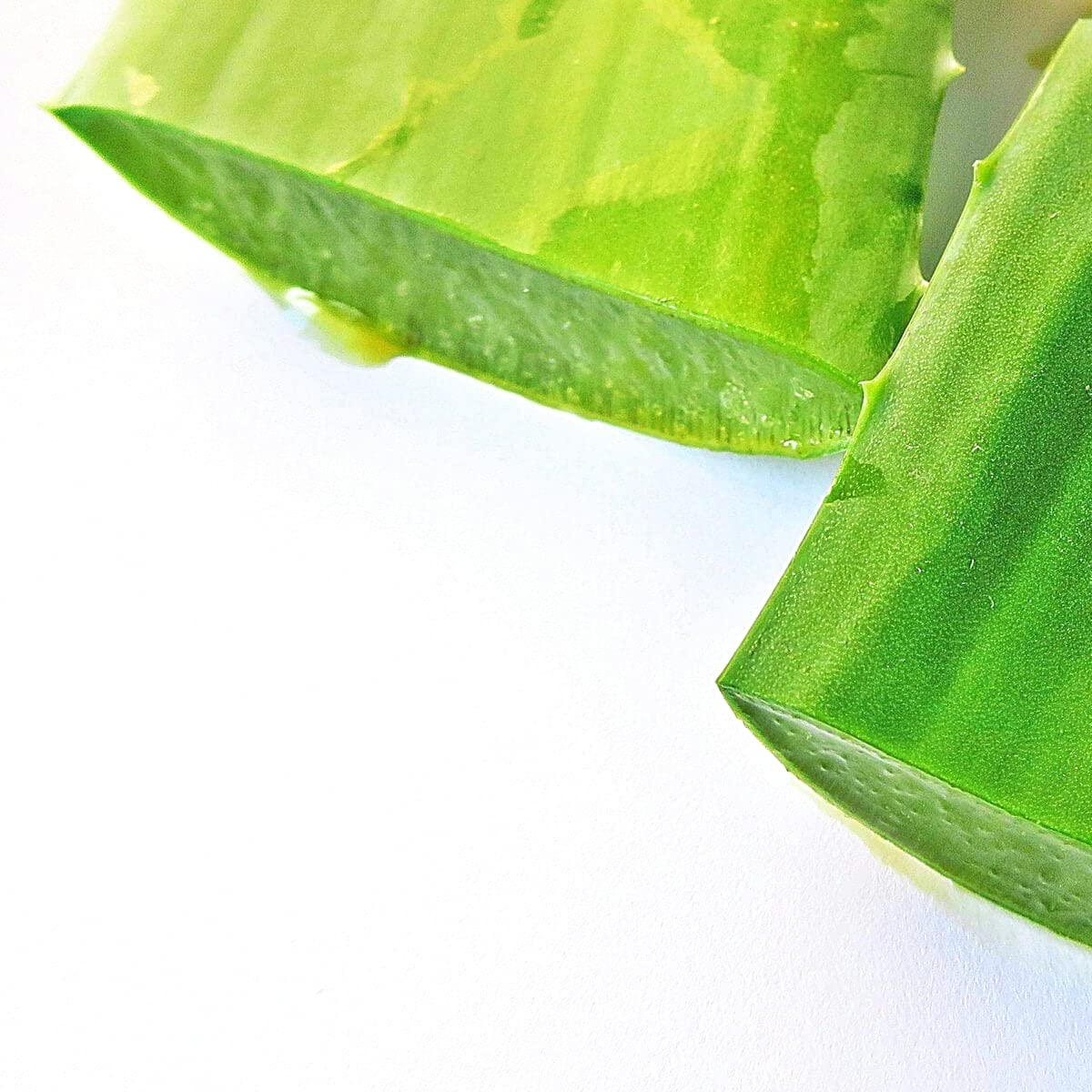 Greenhouse PCA Aloe Vera Capsule/Liquid 1