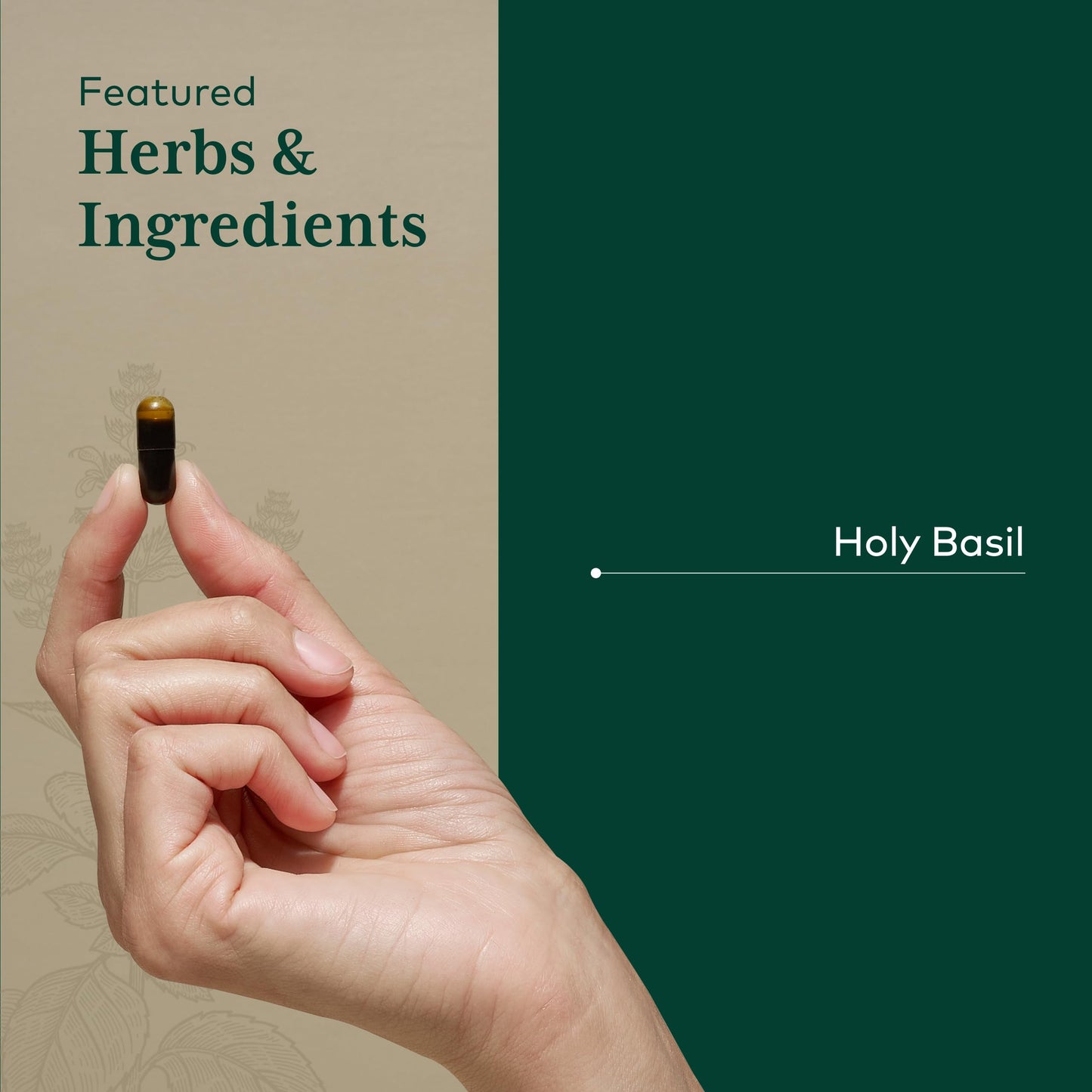 Gaia Herbs PRO Holy Basil Stress Support Capsule, 60 Count
