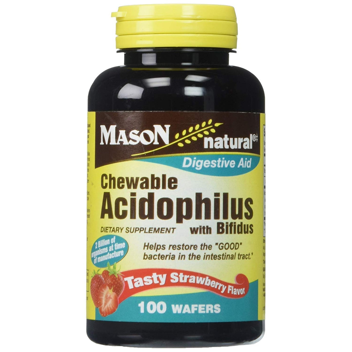 Mason Natural Acidophilus with Bifidus Chewable Wafers 100 Wafers