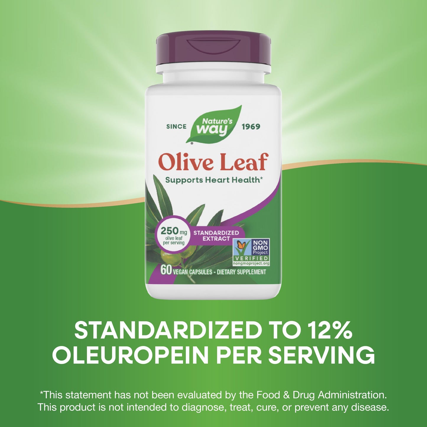 Nature's Way Olive Leaf Standardized Extract Capsules, 60 Count