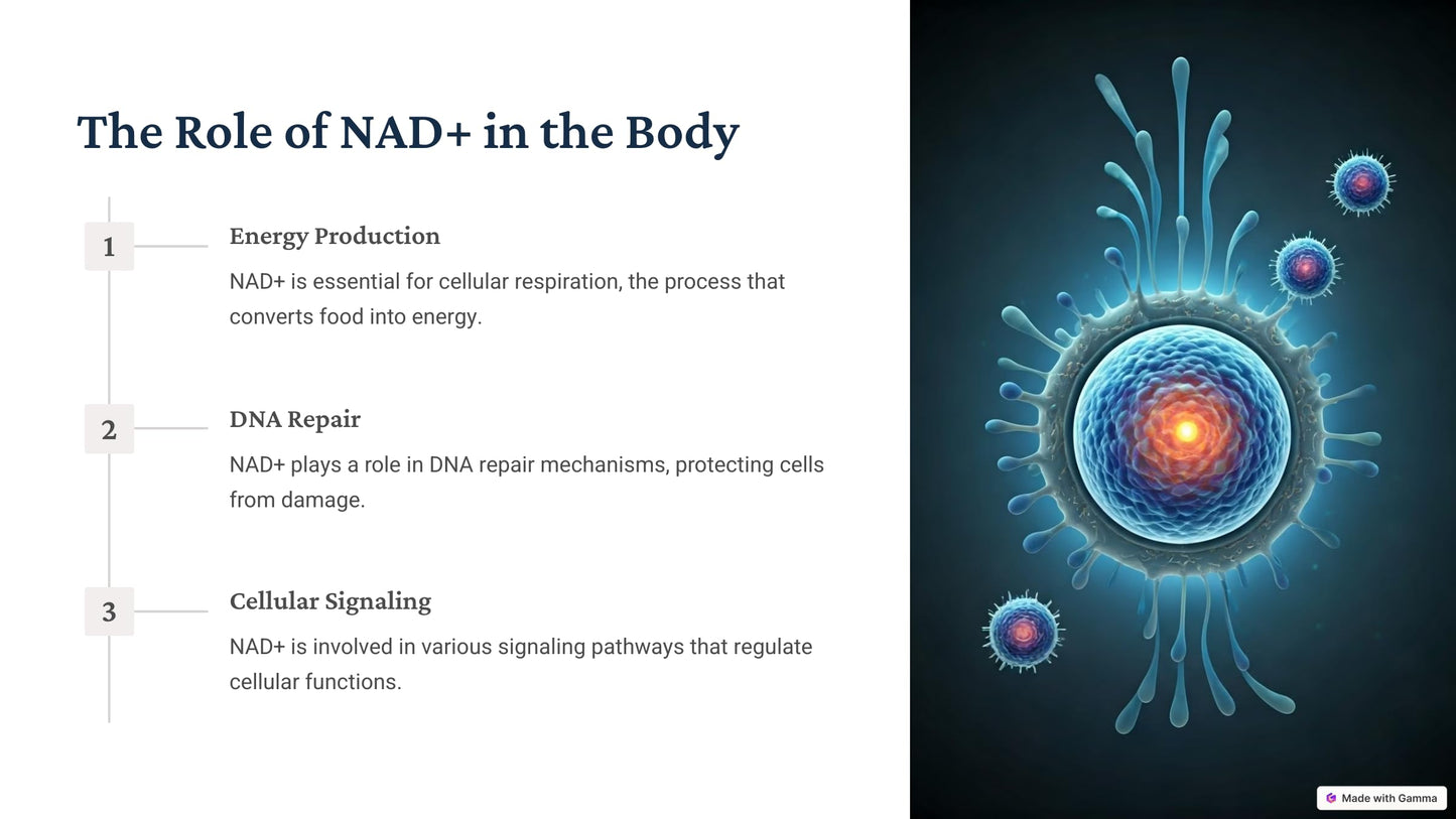 Generic NAD+ Resveratrol Capsule 1