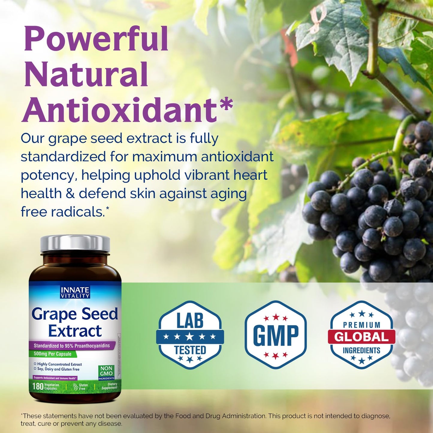 Innate Vitality Grape Seed Extract 500mg Capsules, 180 Count