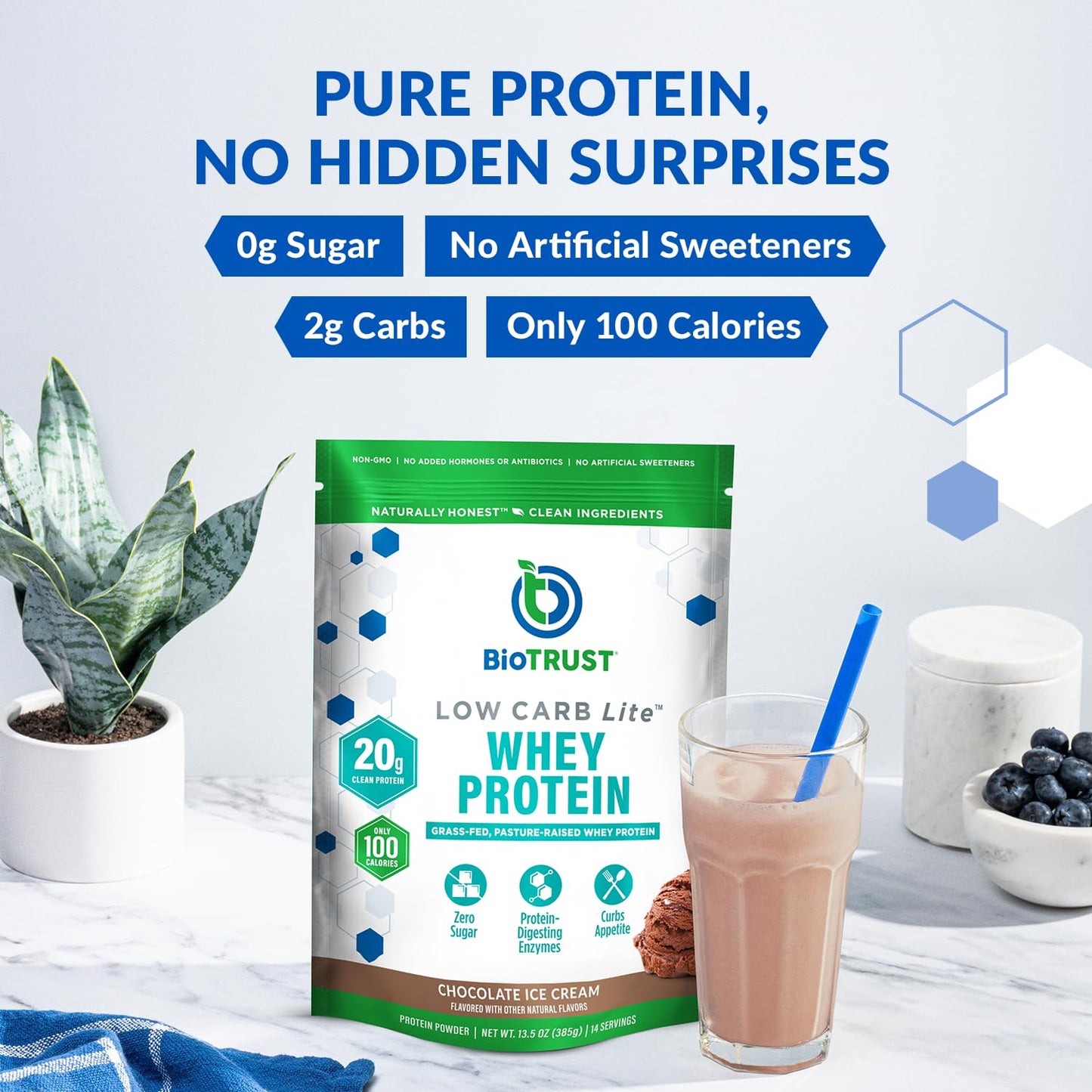 BioTrust Low Carb Lite Whey Protein Isolate Powder, Chocolate Ice Cream, 14 Servings