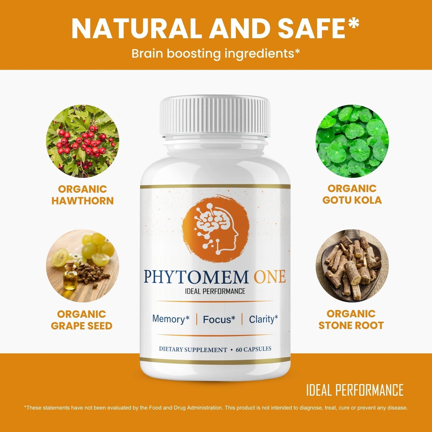 IDEAL PERFORMANCE Phytomem One Capsule, 60 Capsules